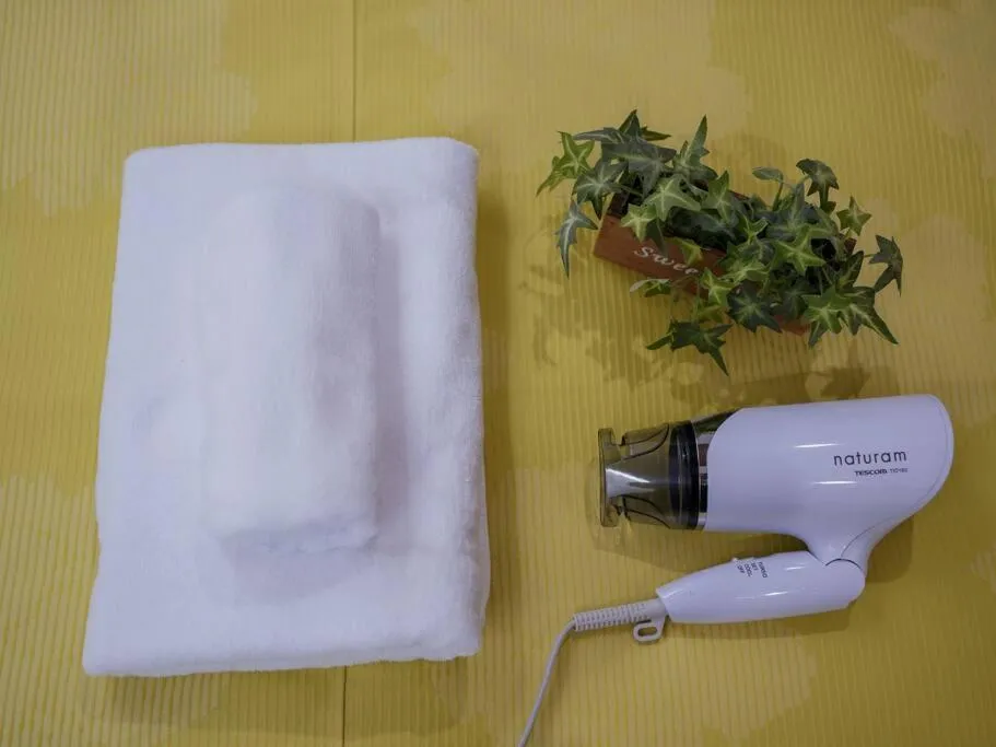 hair dryier in THE HARMONY