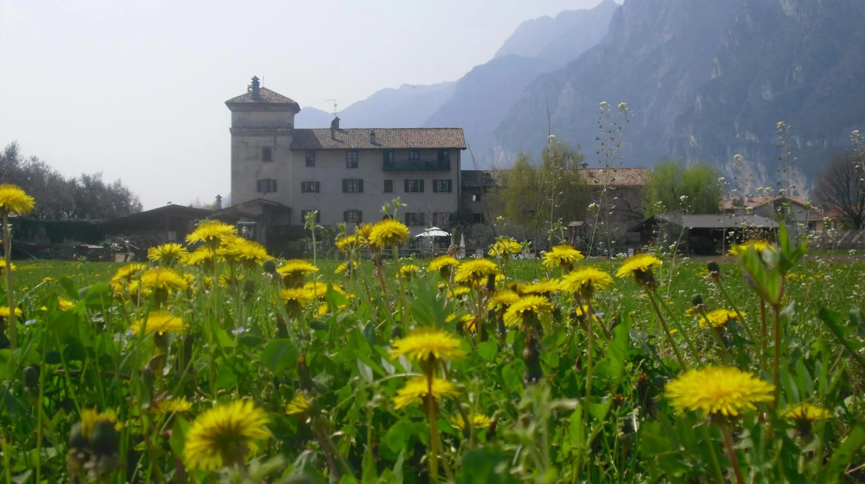 Property building in Residence La Colombera