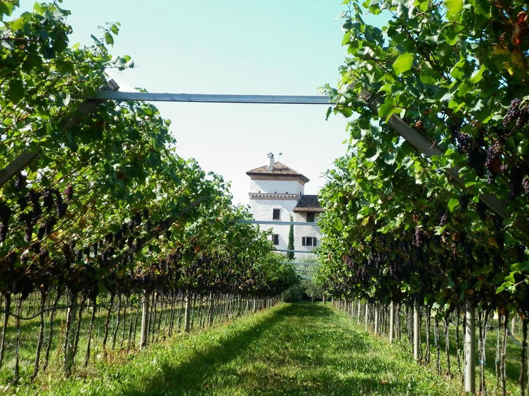 Summer in Residence La Colombera