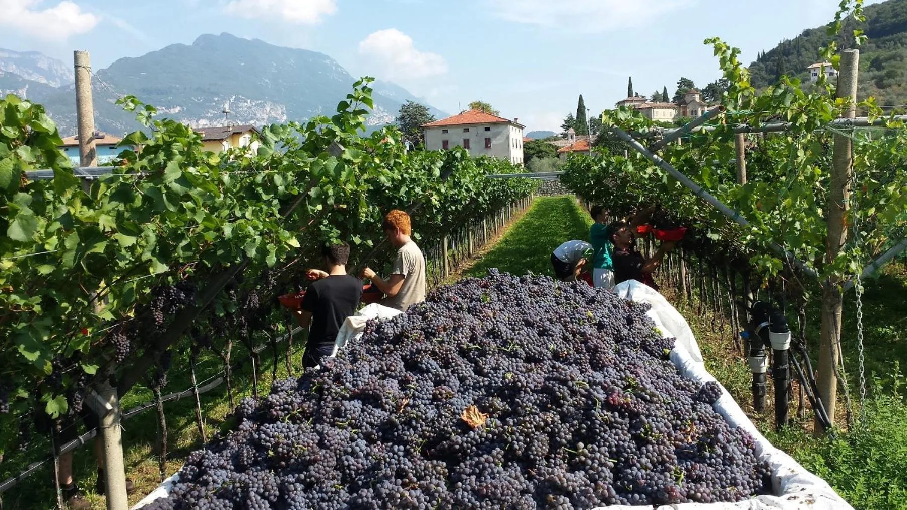 Natural landscape in Residence La Colombera