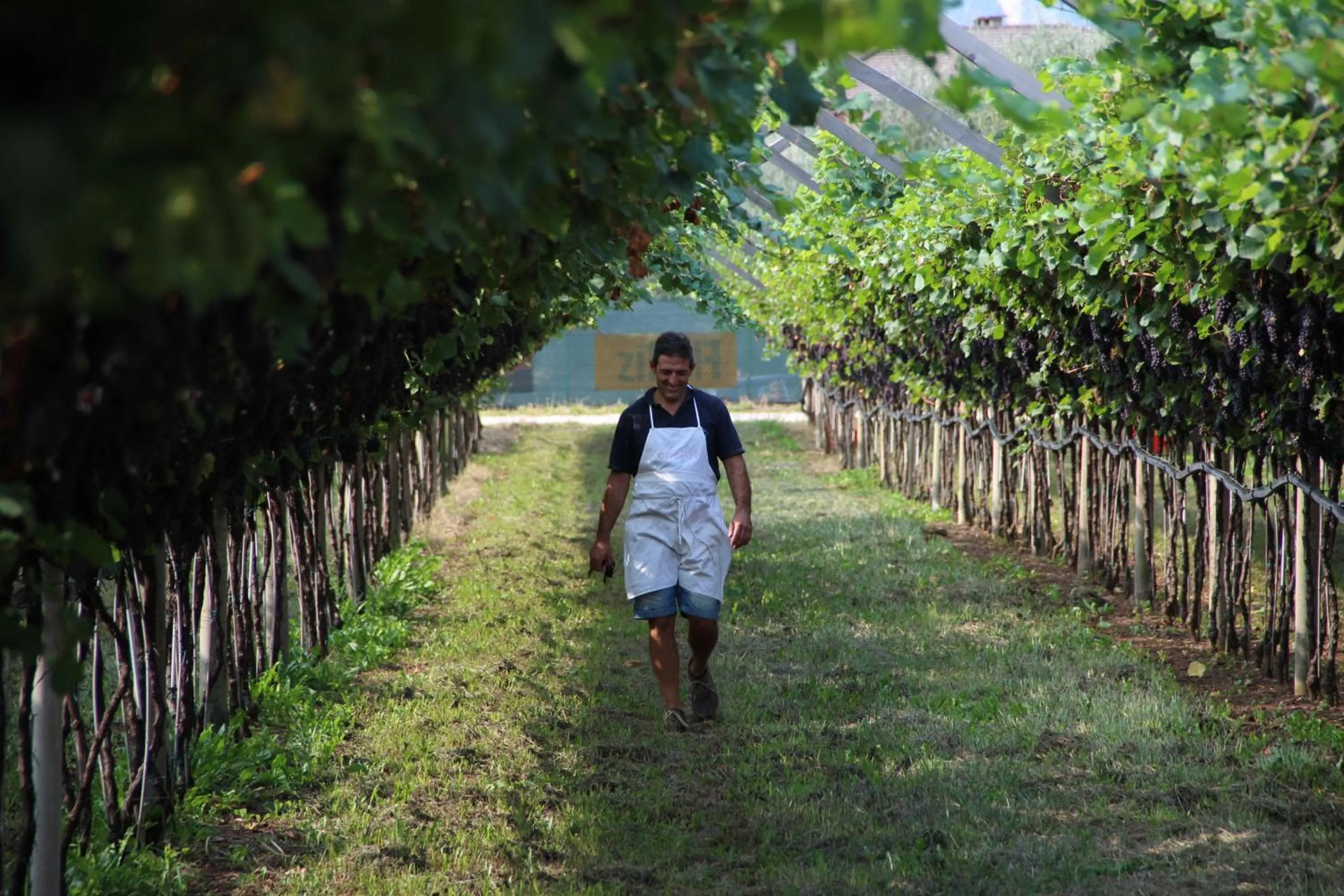 People in Residence La Colombera