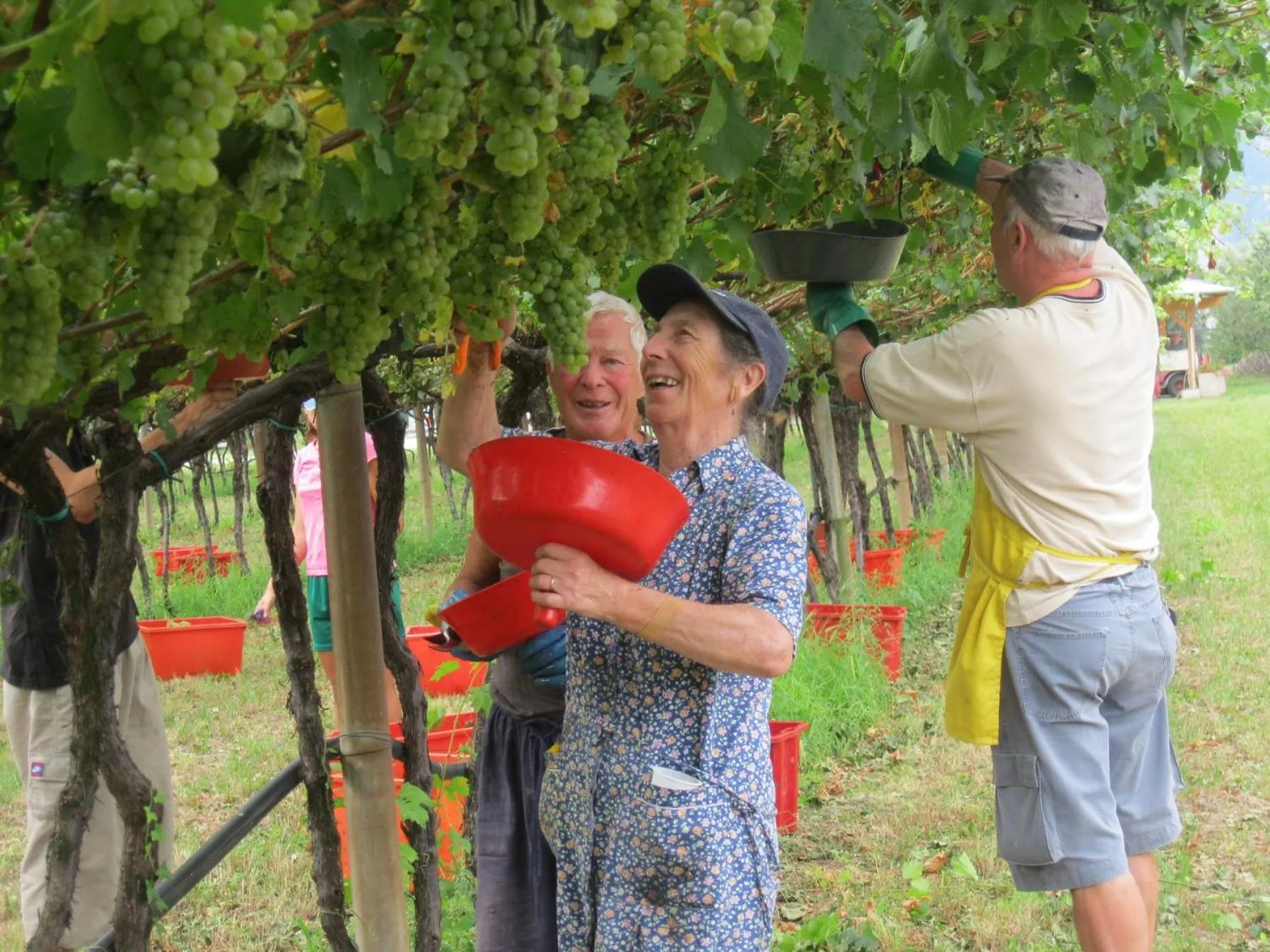Natural landscape in Residence La Colombera