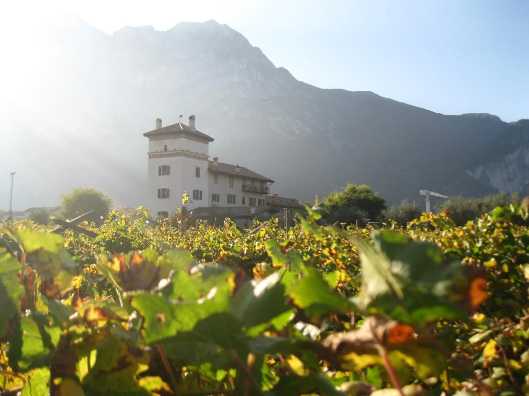 Property building in Residence La Colombera