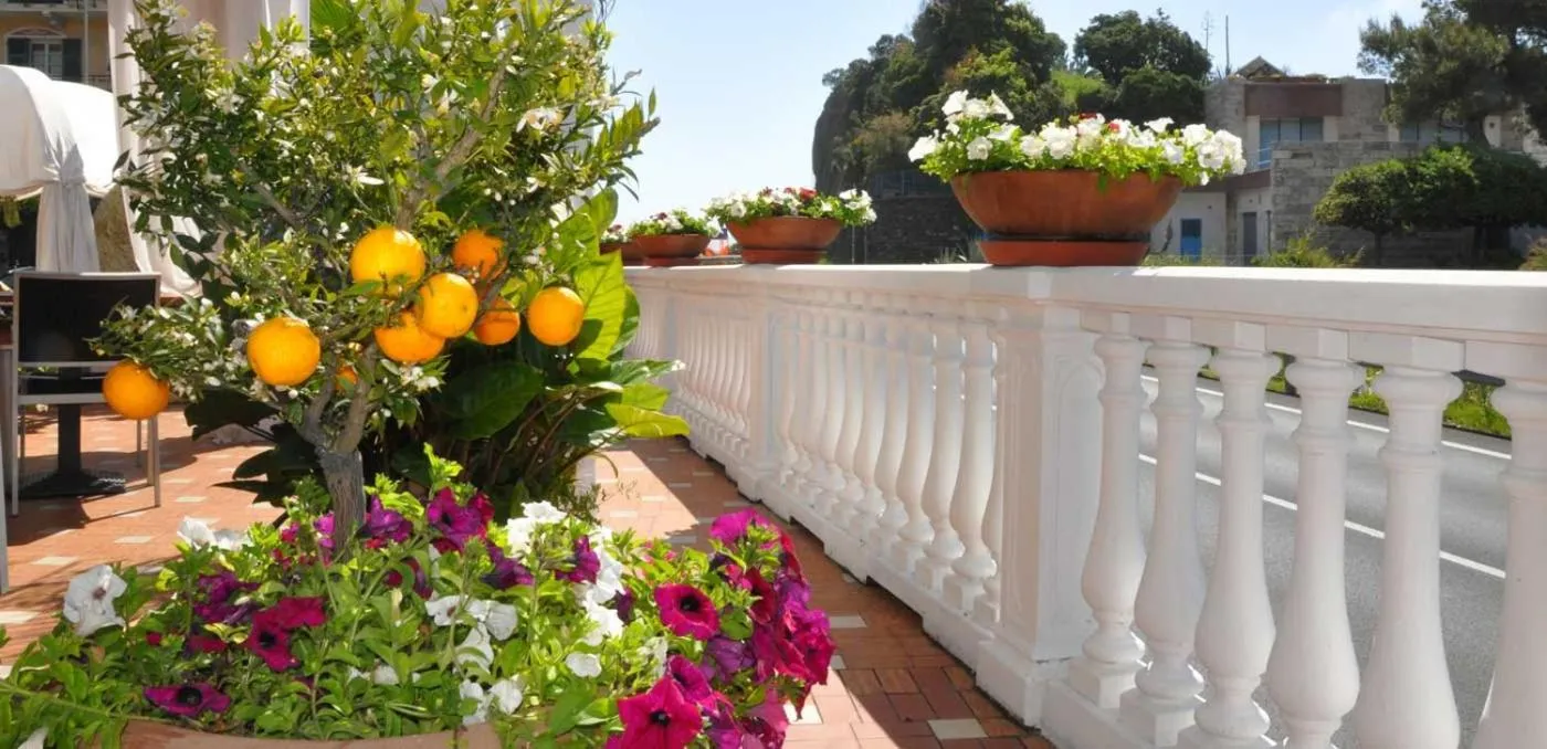 Property building in Hotel Torre