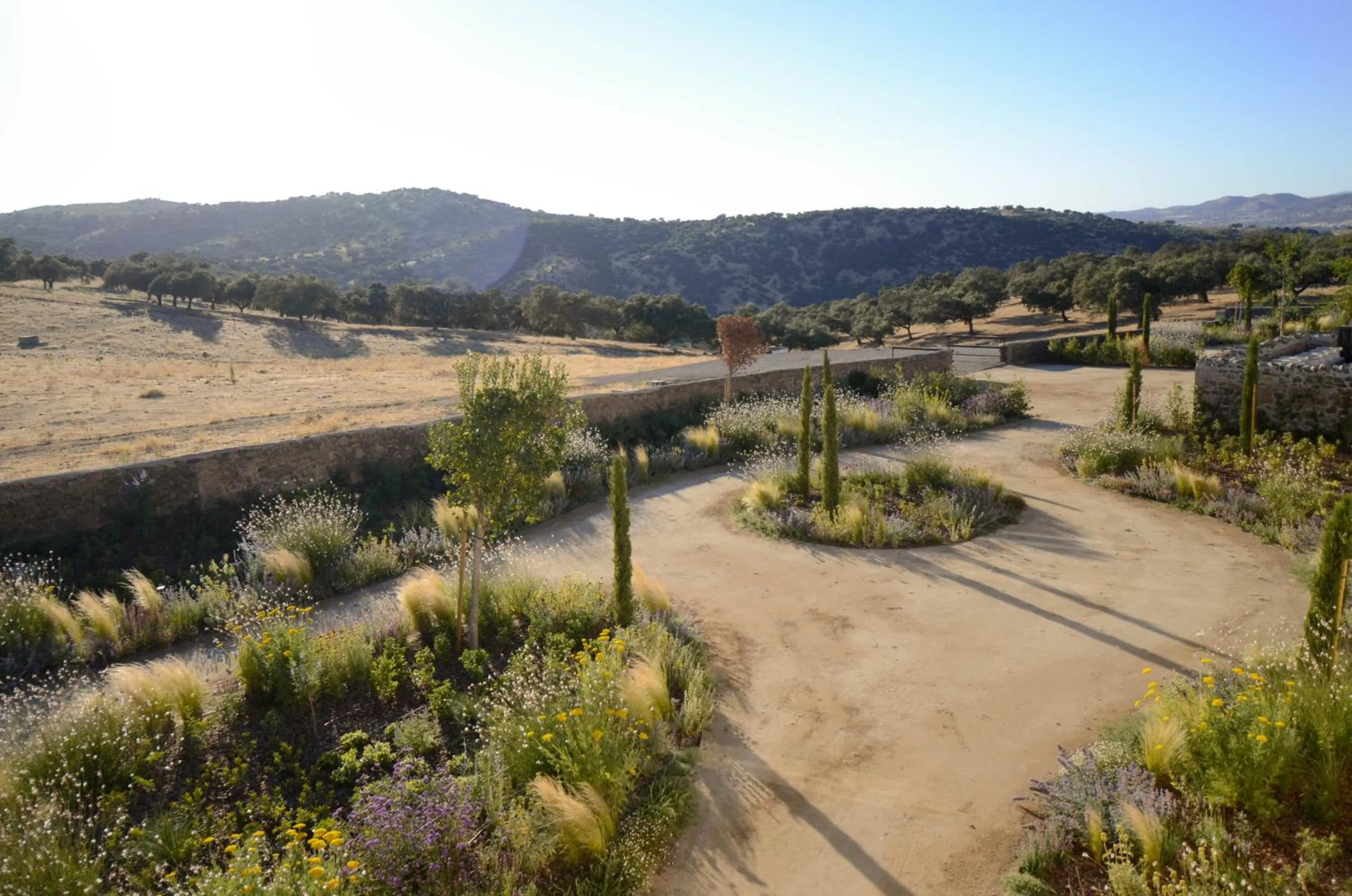 Natural landscape in La Dehesa de Don Pedro