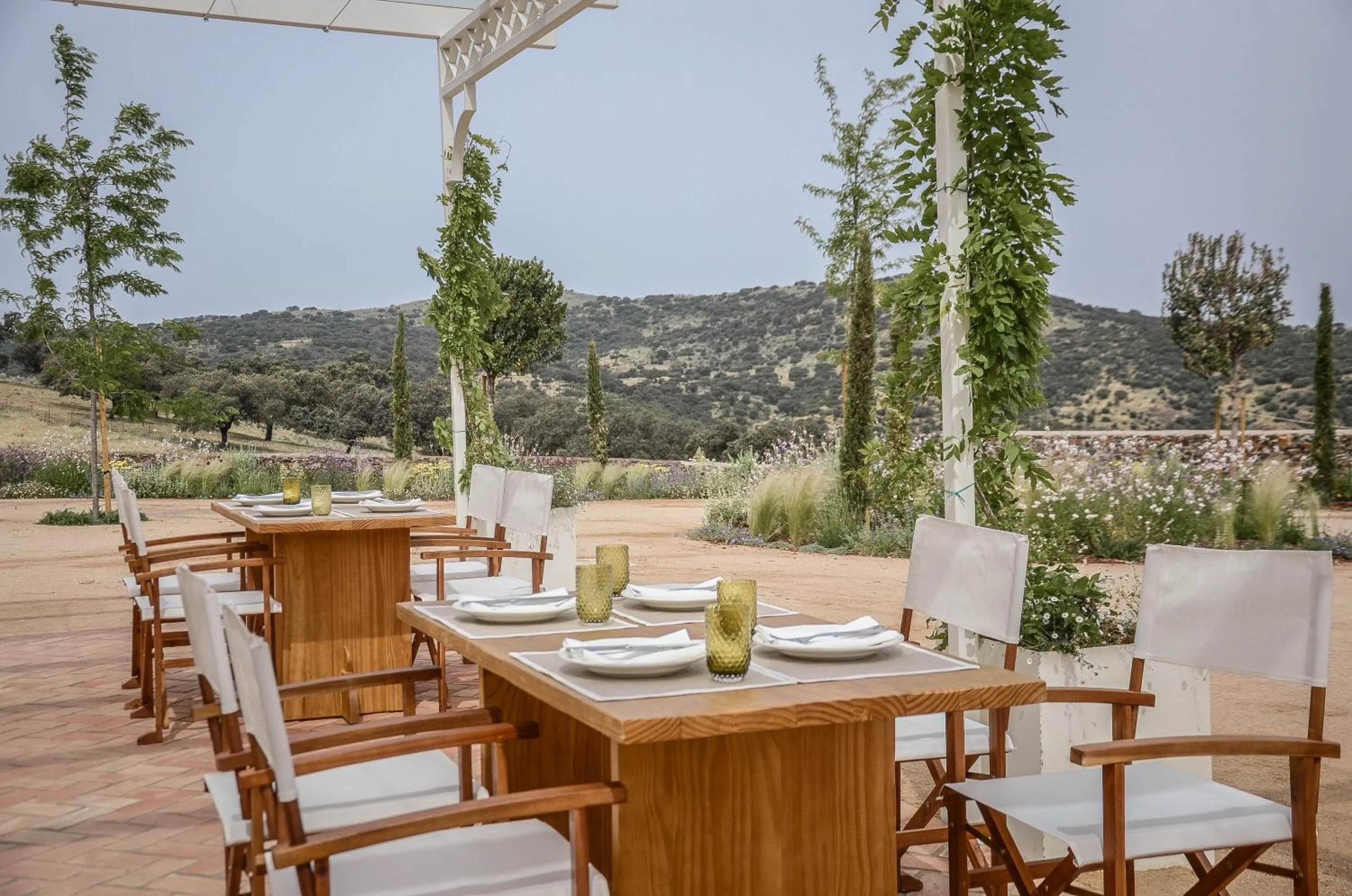 Restaurant/places to eat in La Dehesa de Don Pedro