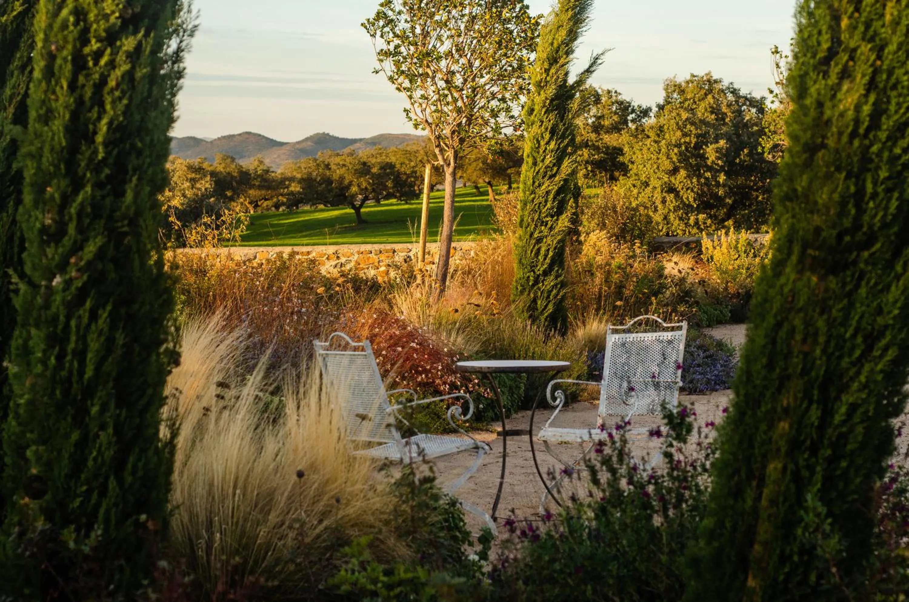 Natural landscape in La Dehesa de Don Pedro