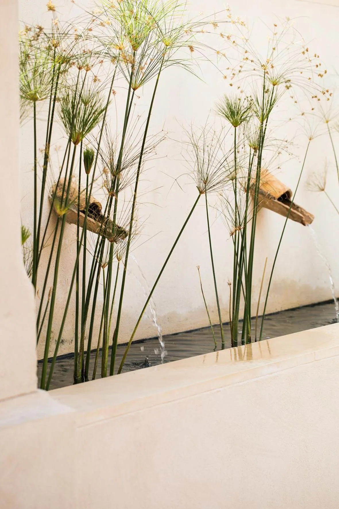 Inner courtyard view in La Dehesa de Don Pedro