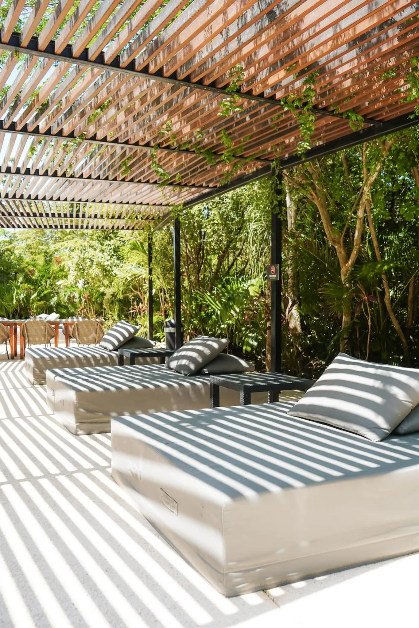 Garden view in Mistiq Gardens