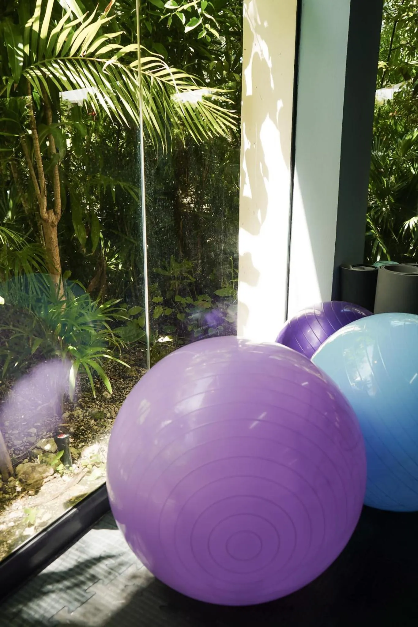 Fitness centre/facilities in Mistiq Gardens