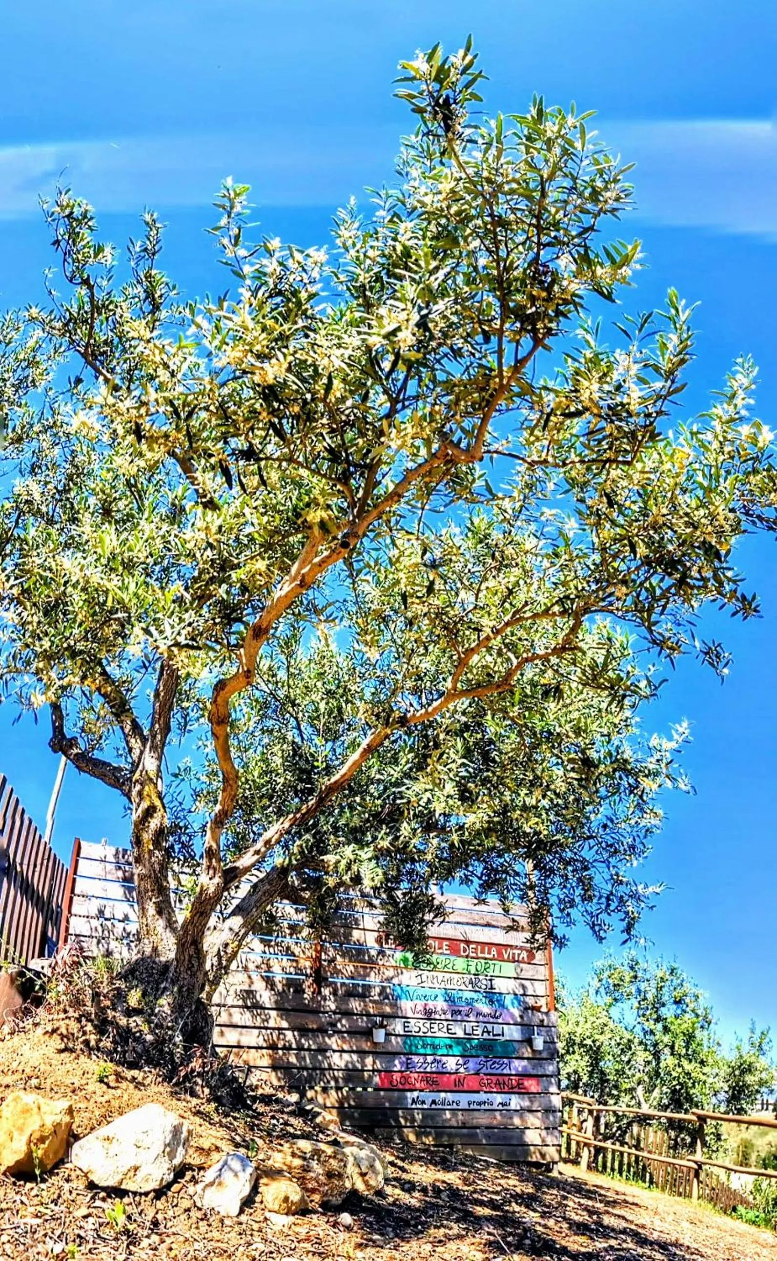 Spring in CI VULIA b&b - Sicilia sea, pool, bbq, tv, wi-fi