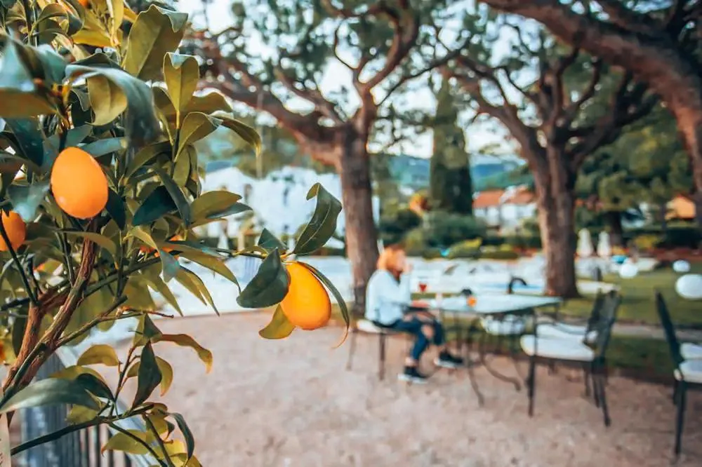 Garden in Hotel Spiaggia d'Oro - Charme & Boutique - Garda Lake Collection