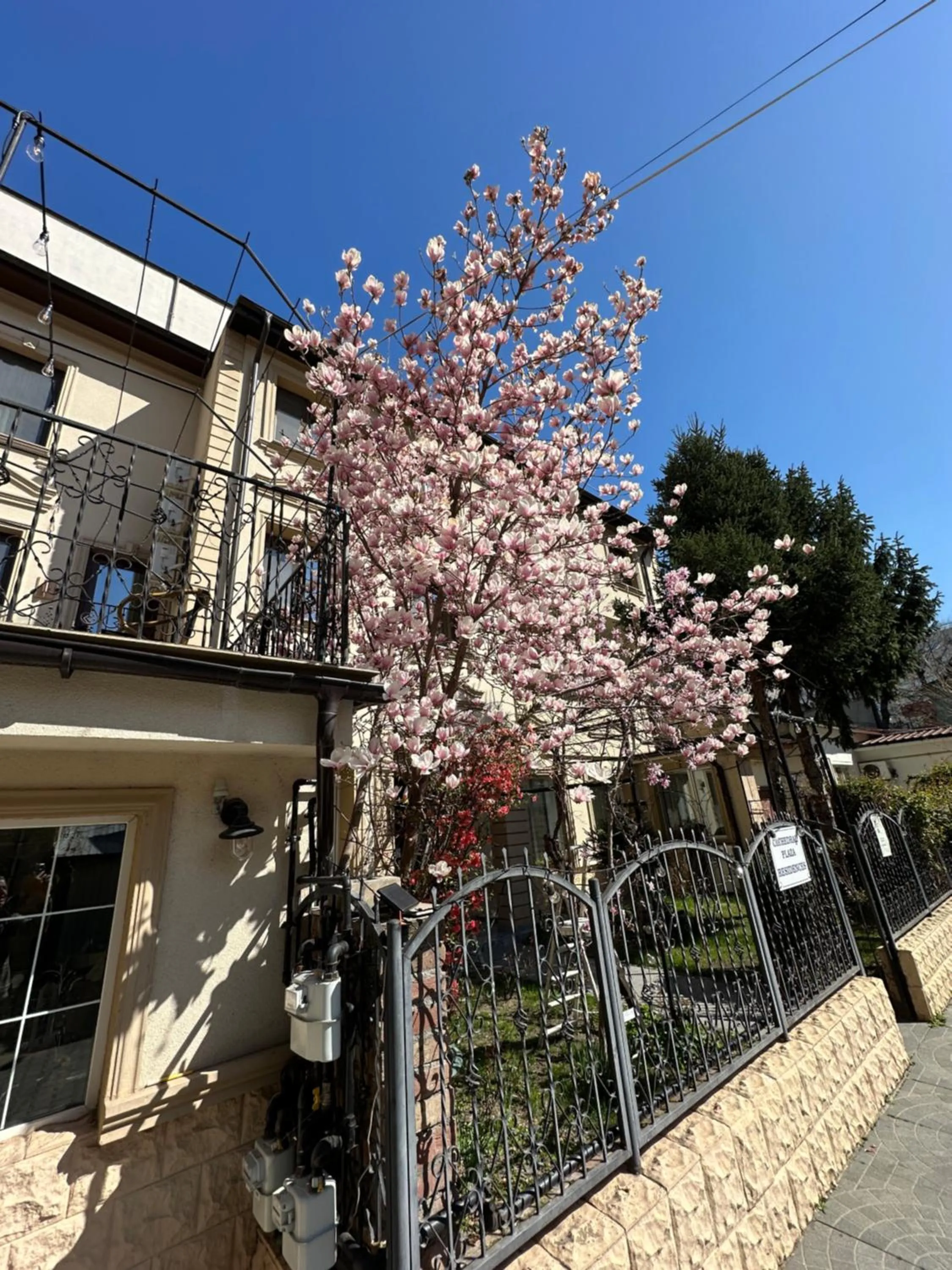 Hotel Boutique Cathedral Plaza Residences room for rent downtown