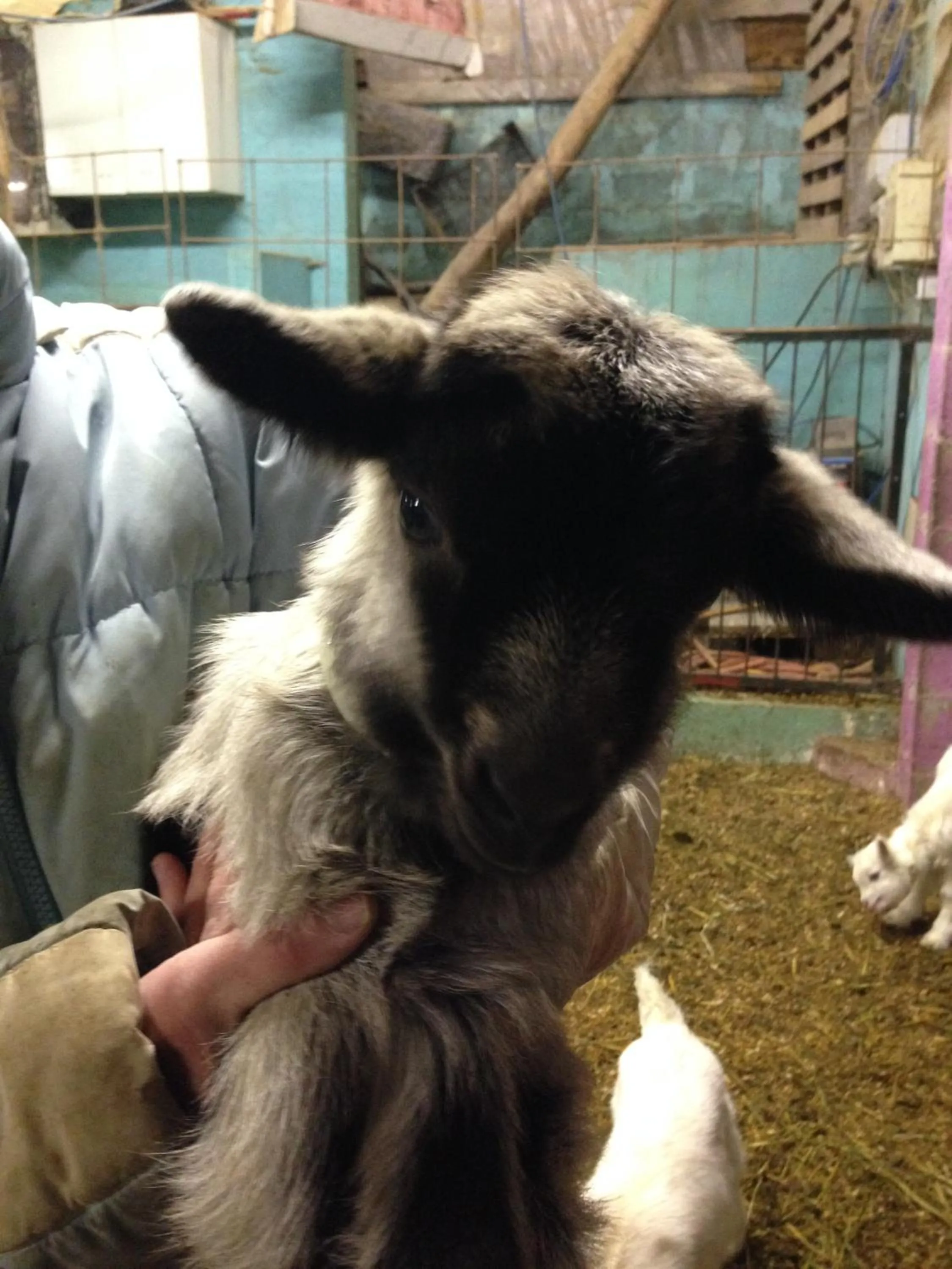 Garden in Agriturismo Al Marnich