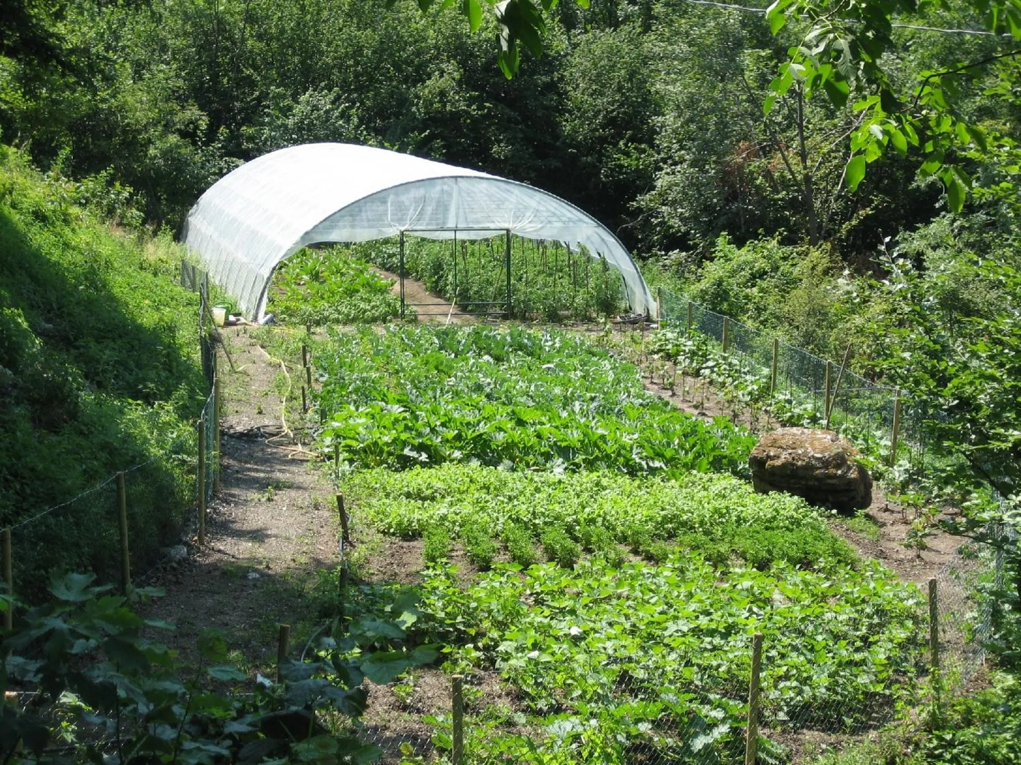 Garden in Agriturismo Al Marnich