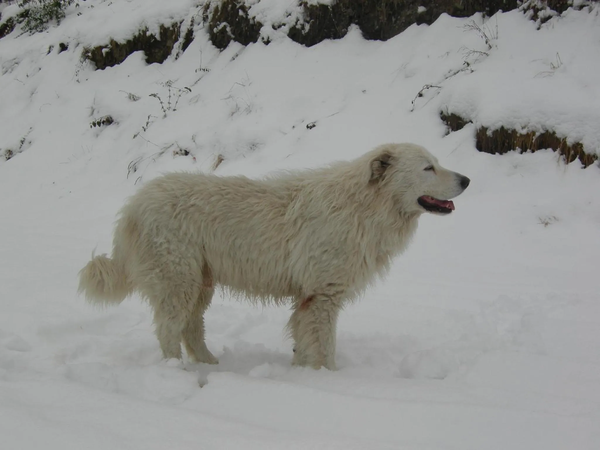 Other in Agriturismo Al Marnich