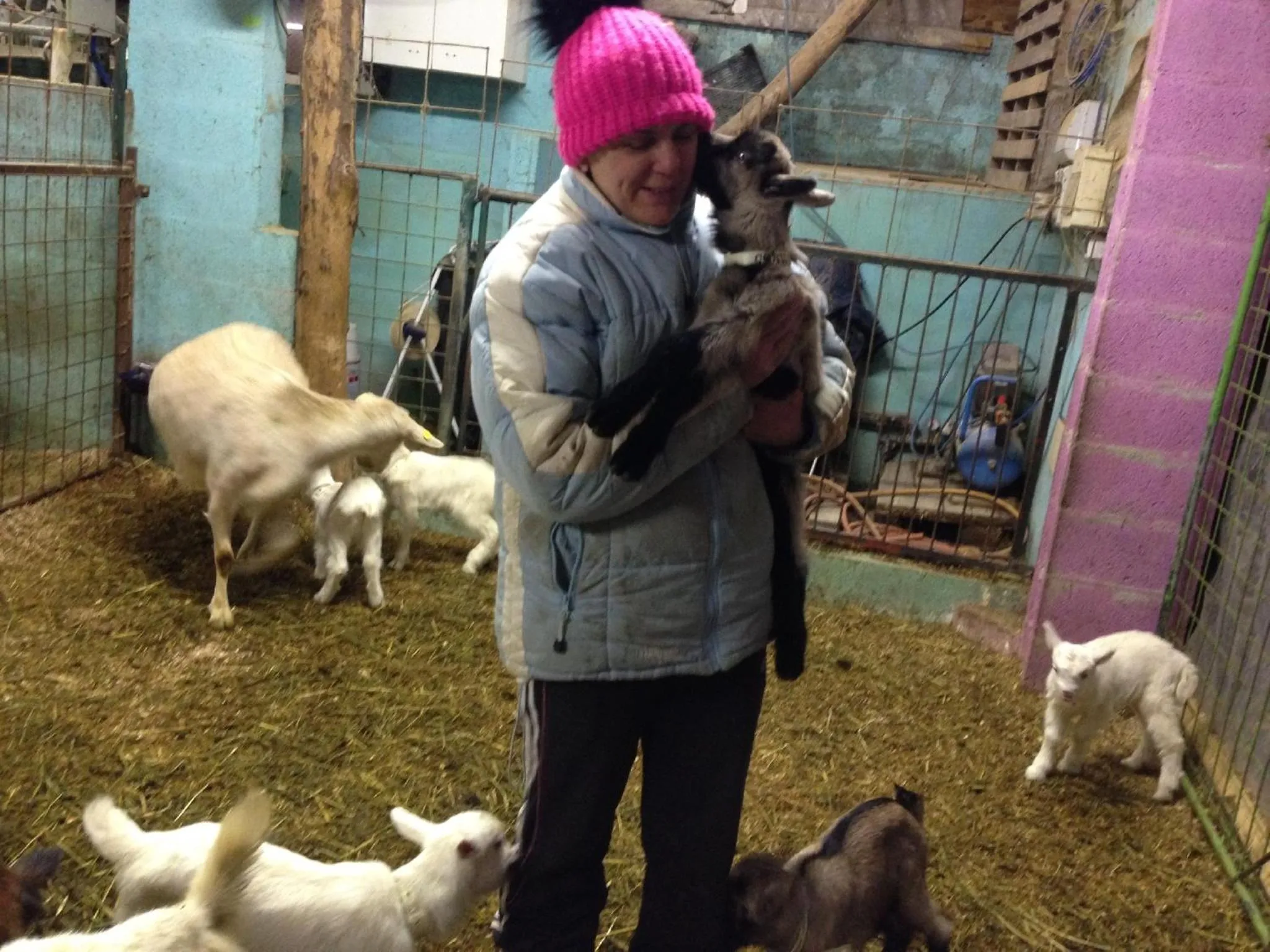 Other in Agriturismo Al Marnich