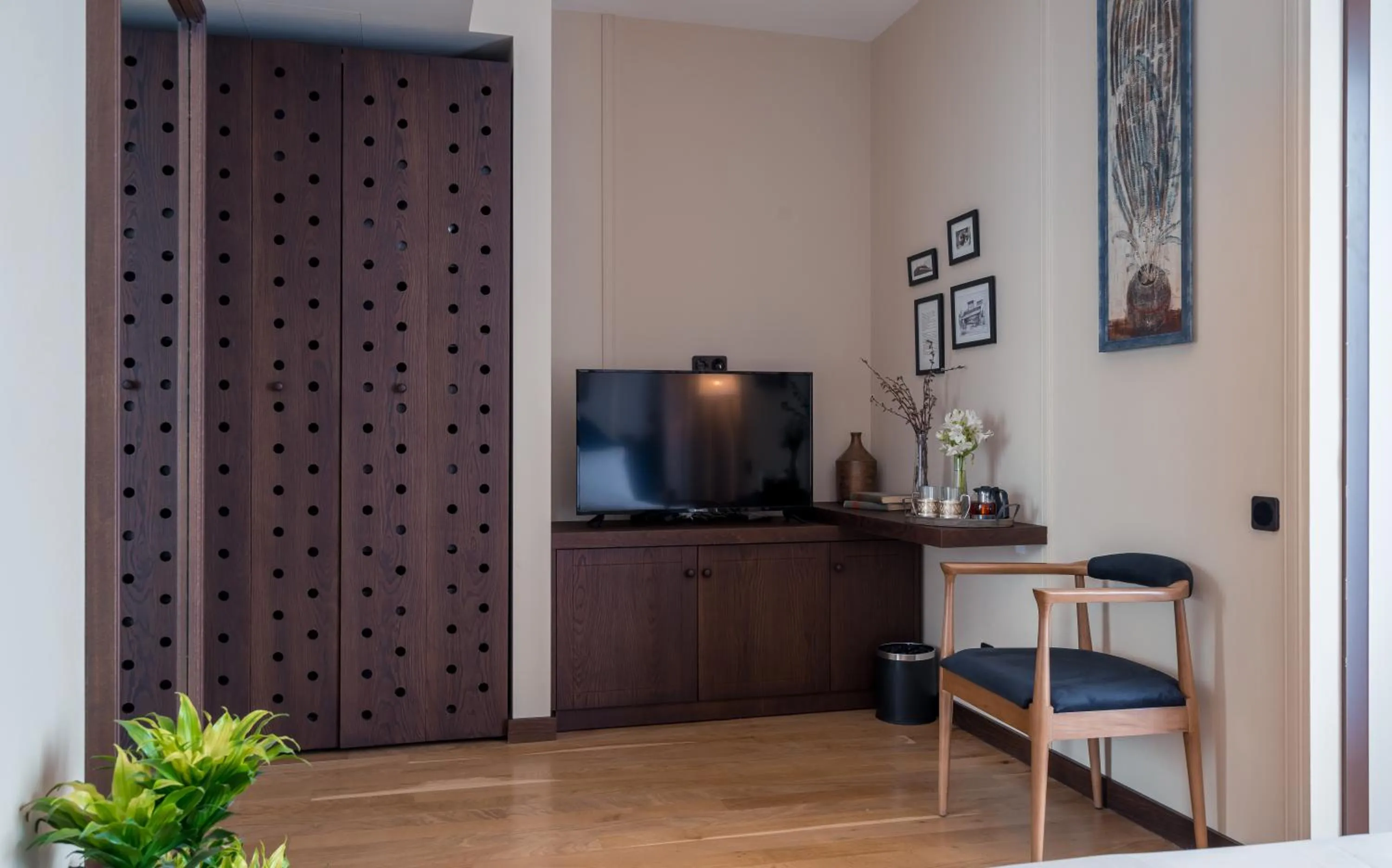 TV and multimedia in Giuaani Winery