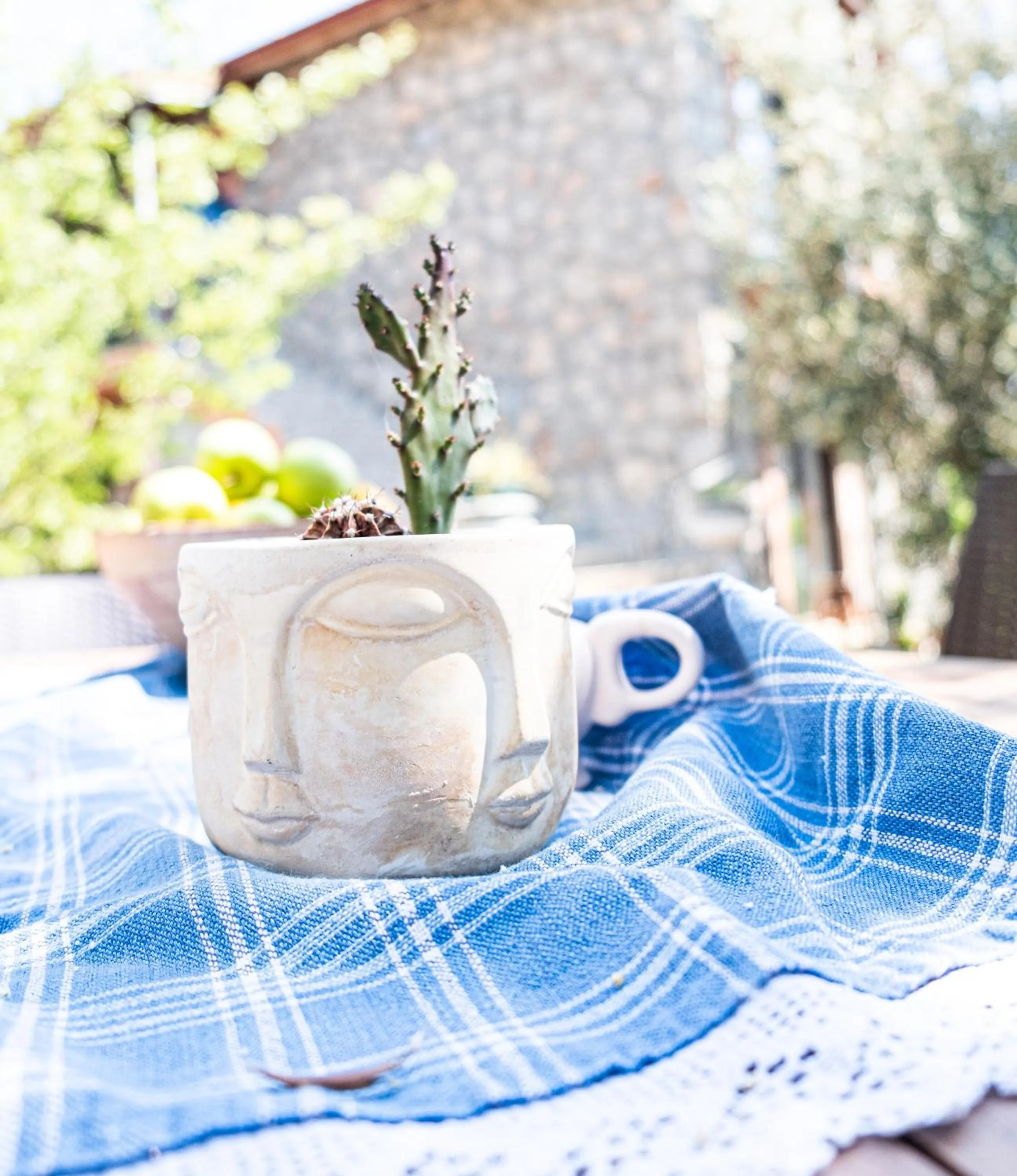 Garden in Casa Di Pietra