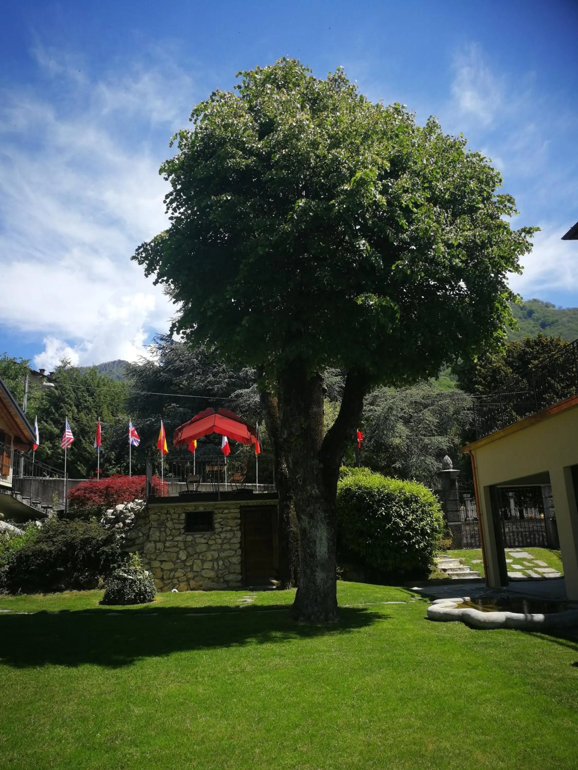 Garden in Hotel La Torre