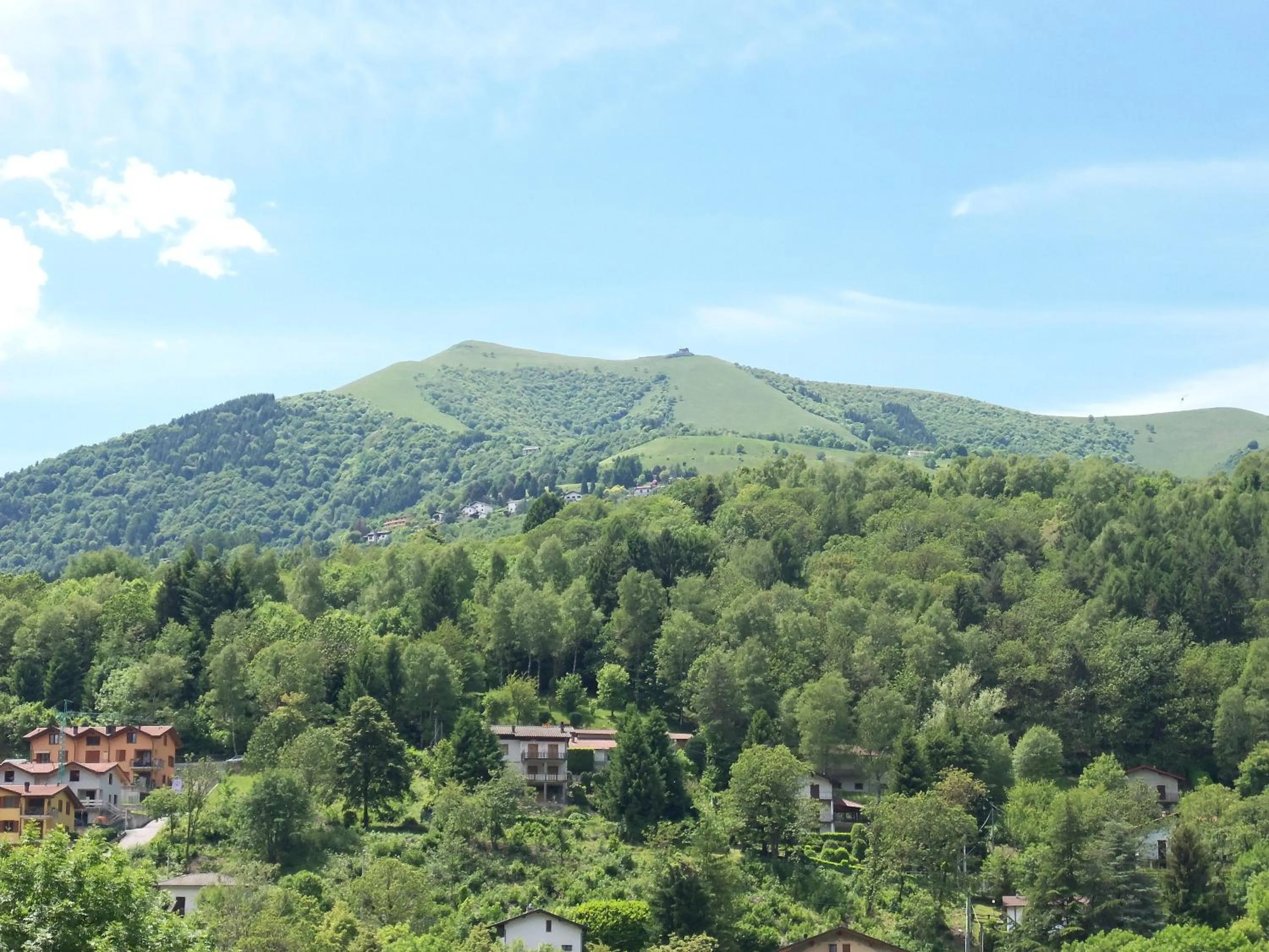 View (from property/room) in Hotel La Torre