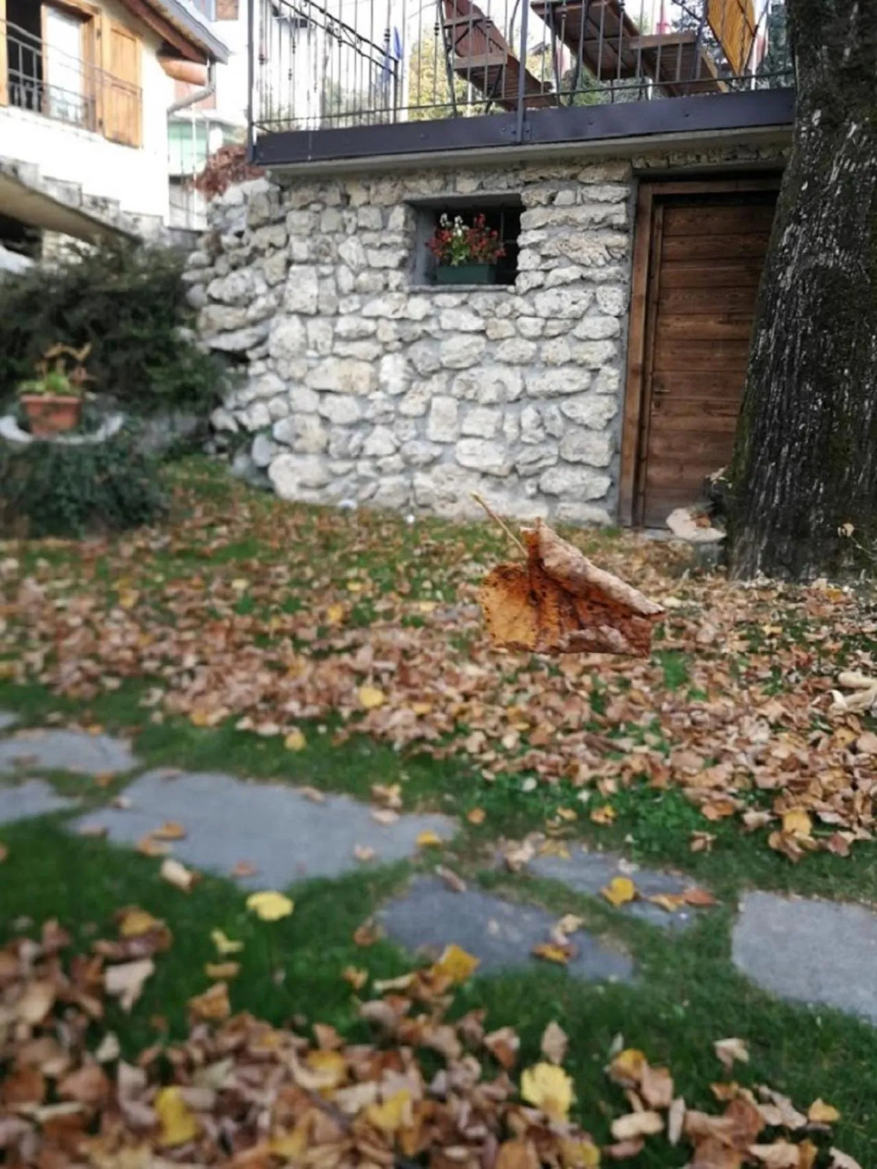 Autumn in Hotel La Torre