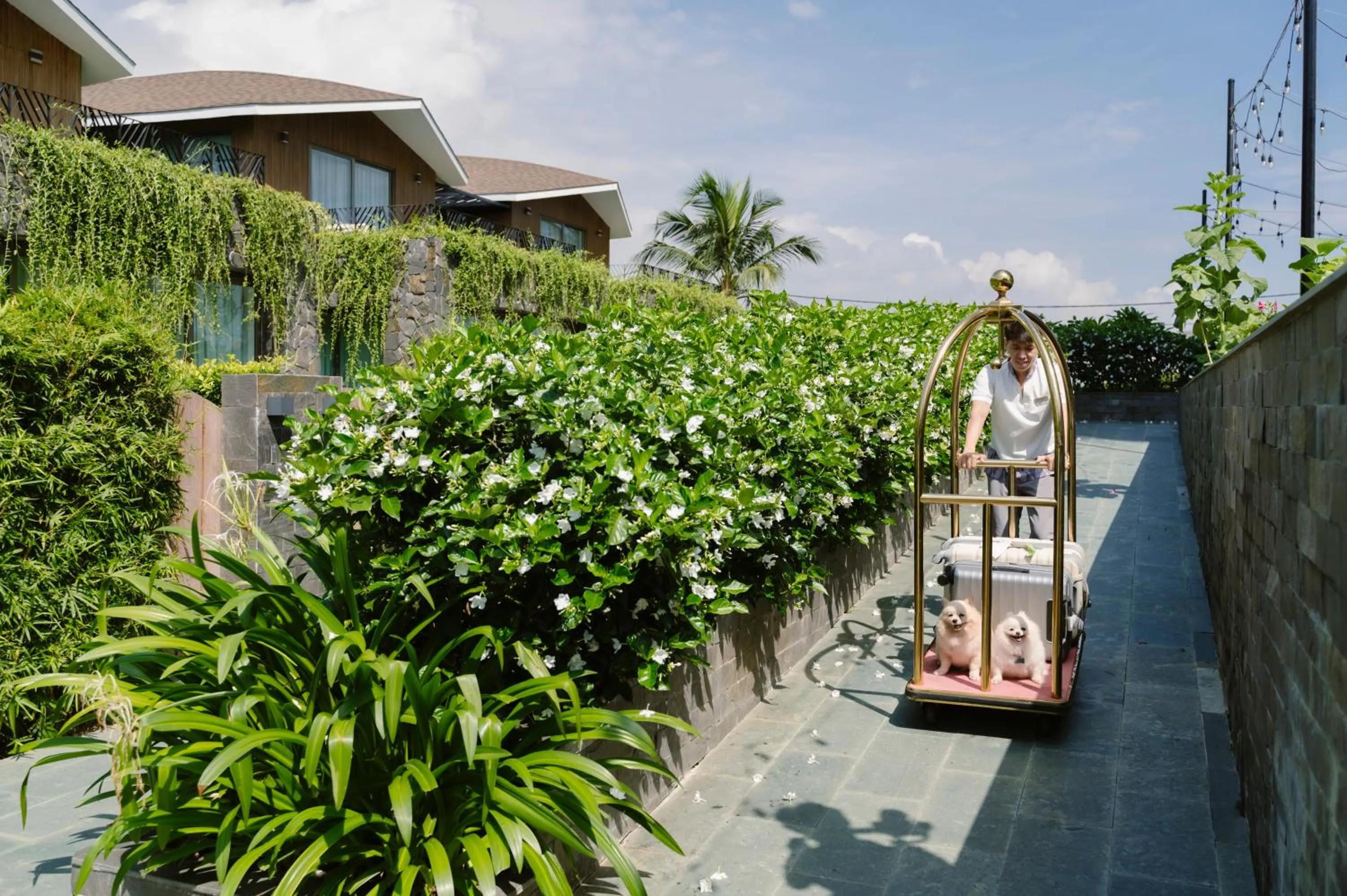 Garden in Bellerive Hoi An Resort and Spa
