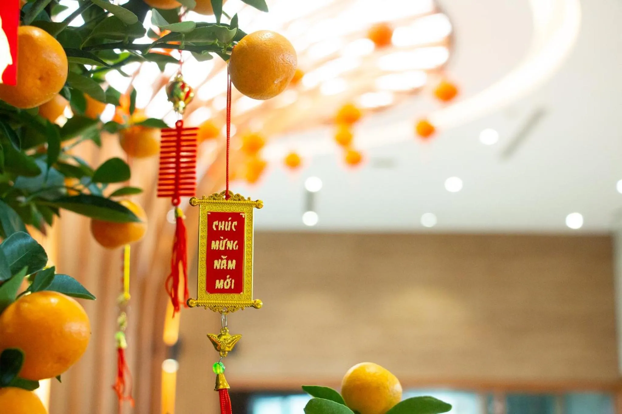 Activities in Bellerive Hoi An Resort and Spa