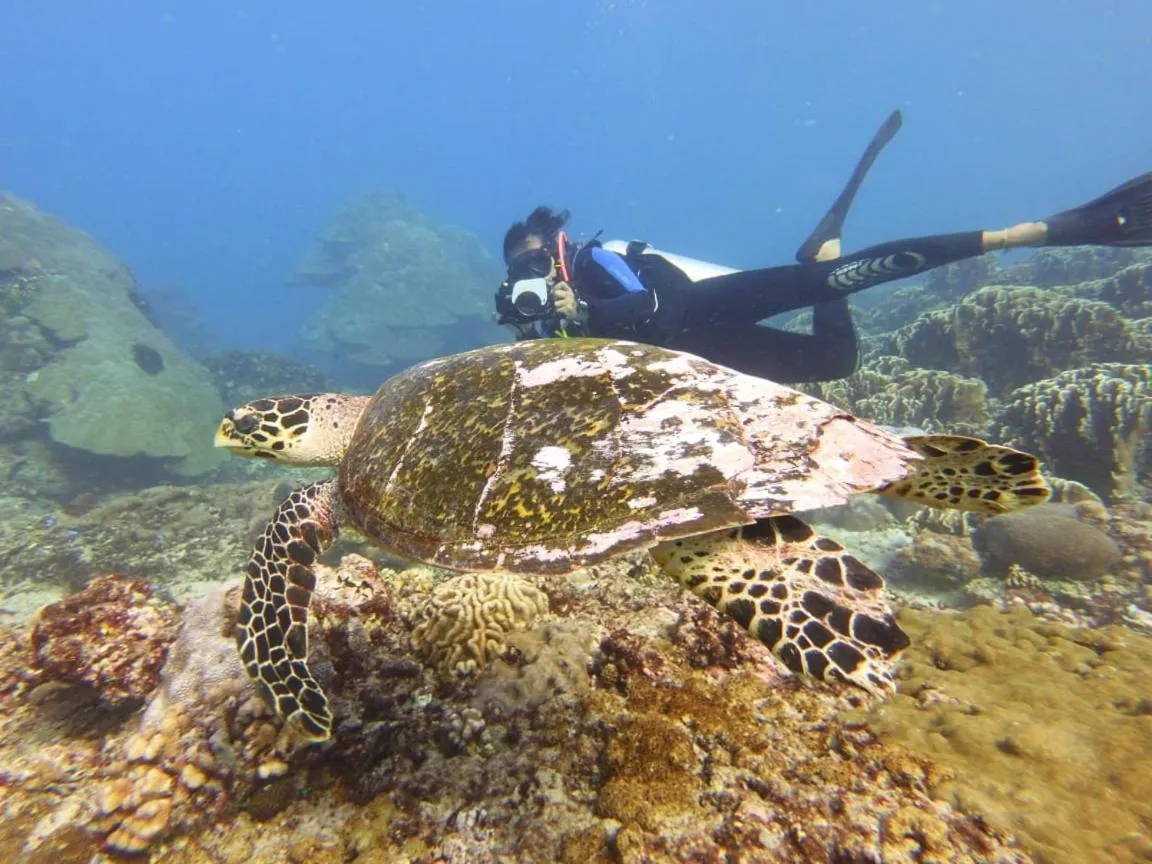 Diving in The Sagara Penida Nusa Penida