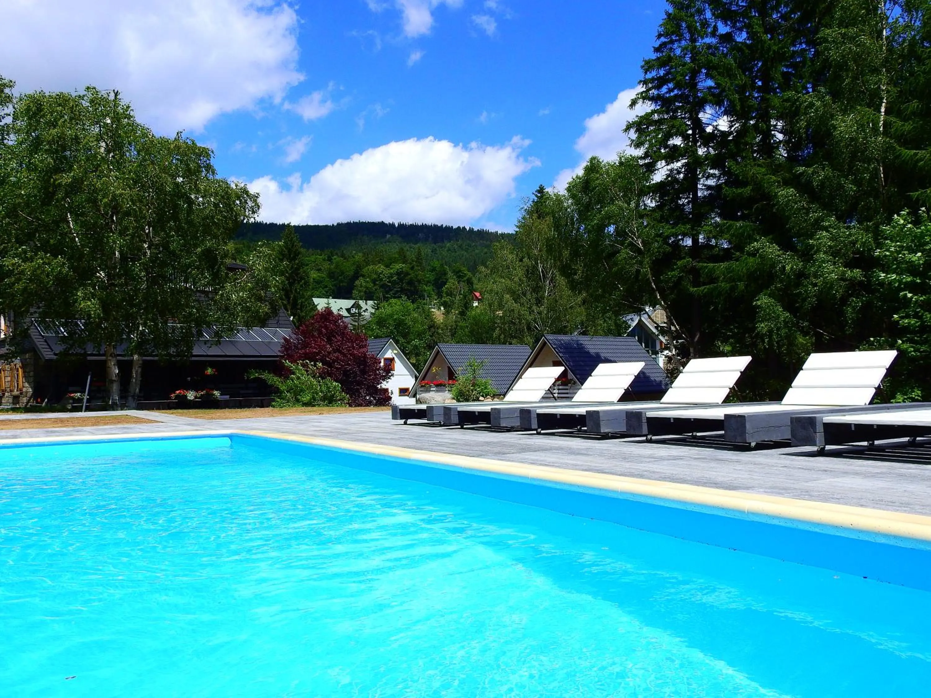 Swimming pool in BORSZÓWKA Dom Nad Potokiem - Pensjonat