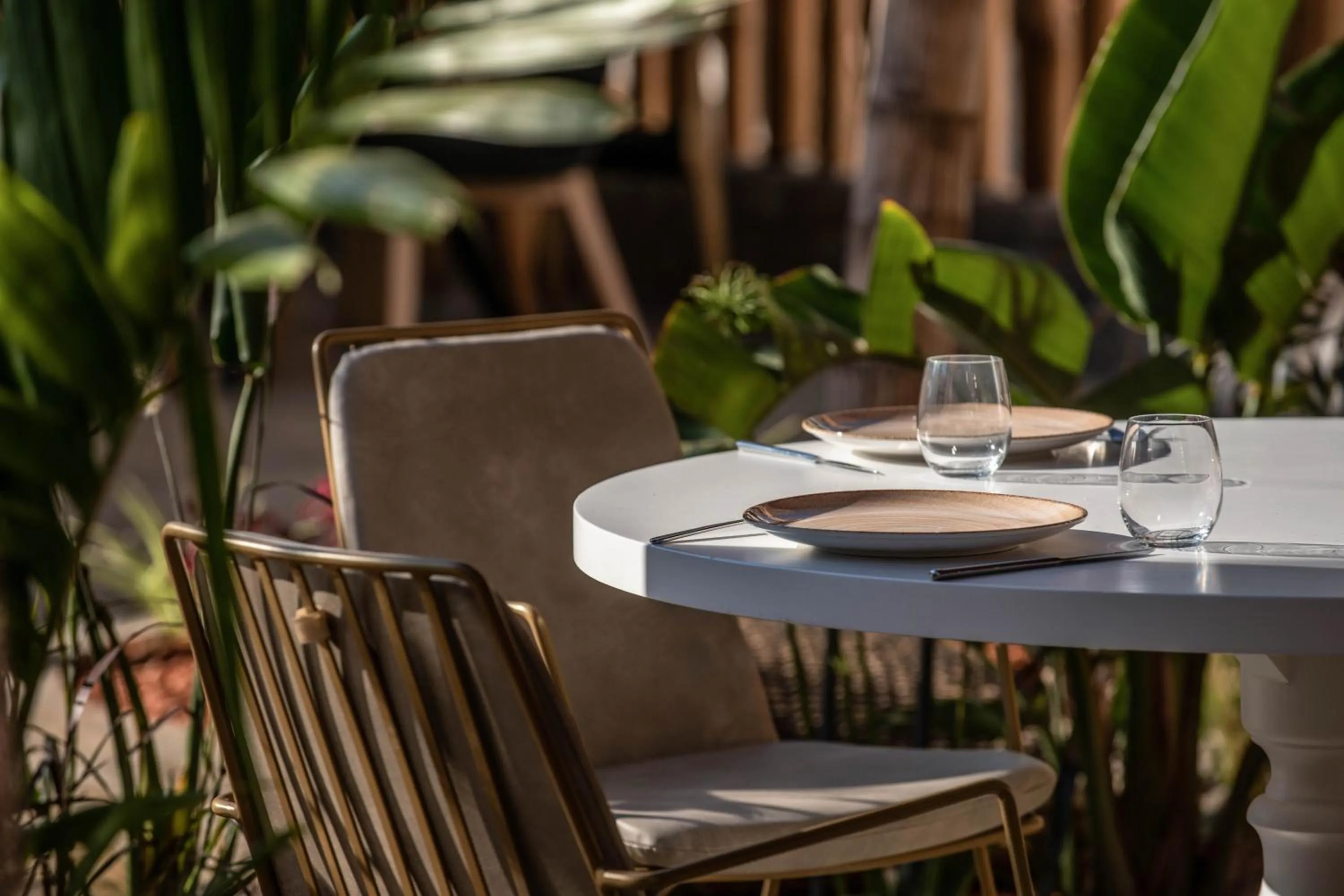 Restaurant/places to eat in Indigo Inn Casa Adults Only