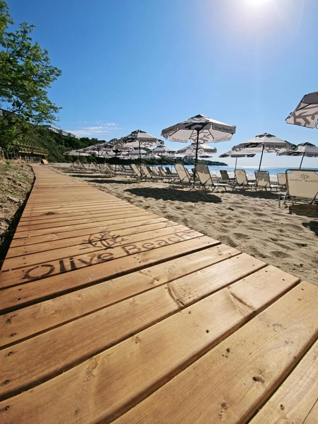 Day in Olive Villas Beach Hotel