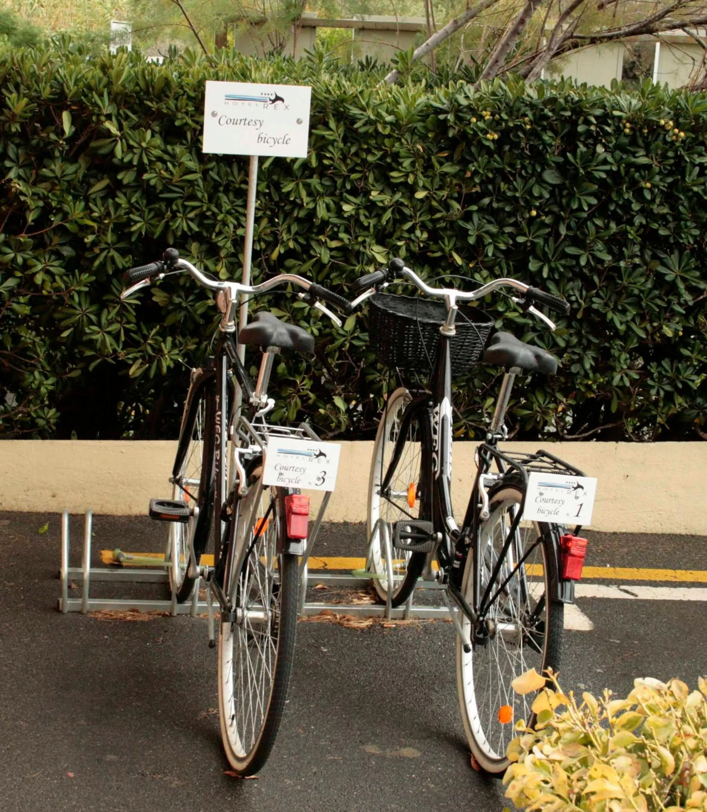 Cycling in Hotel Rex