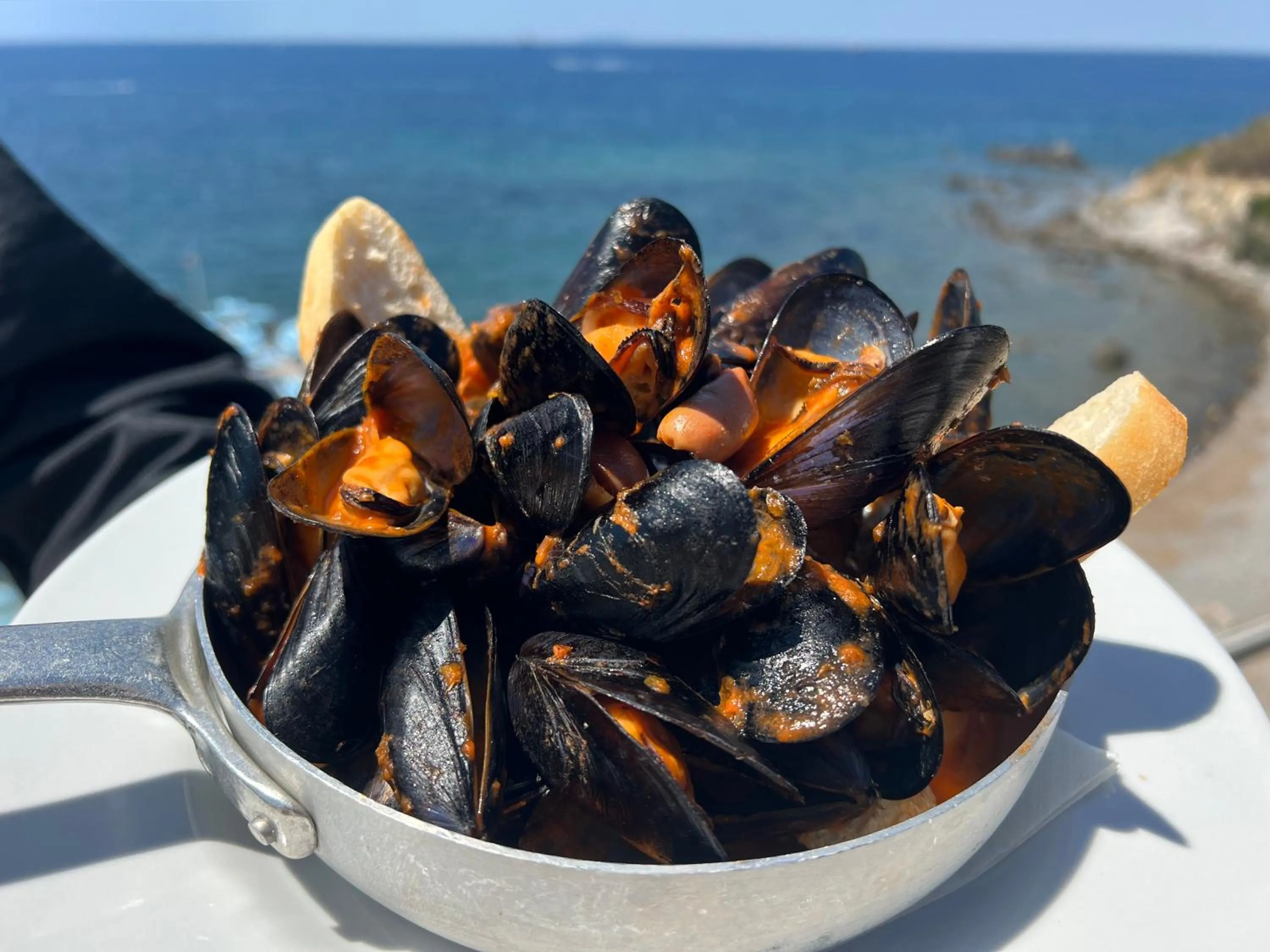 Restaurant/places to eat in Hotel Rex