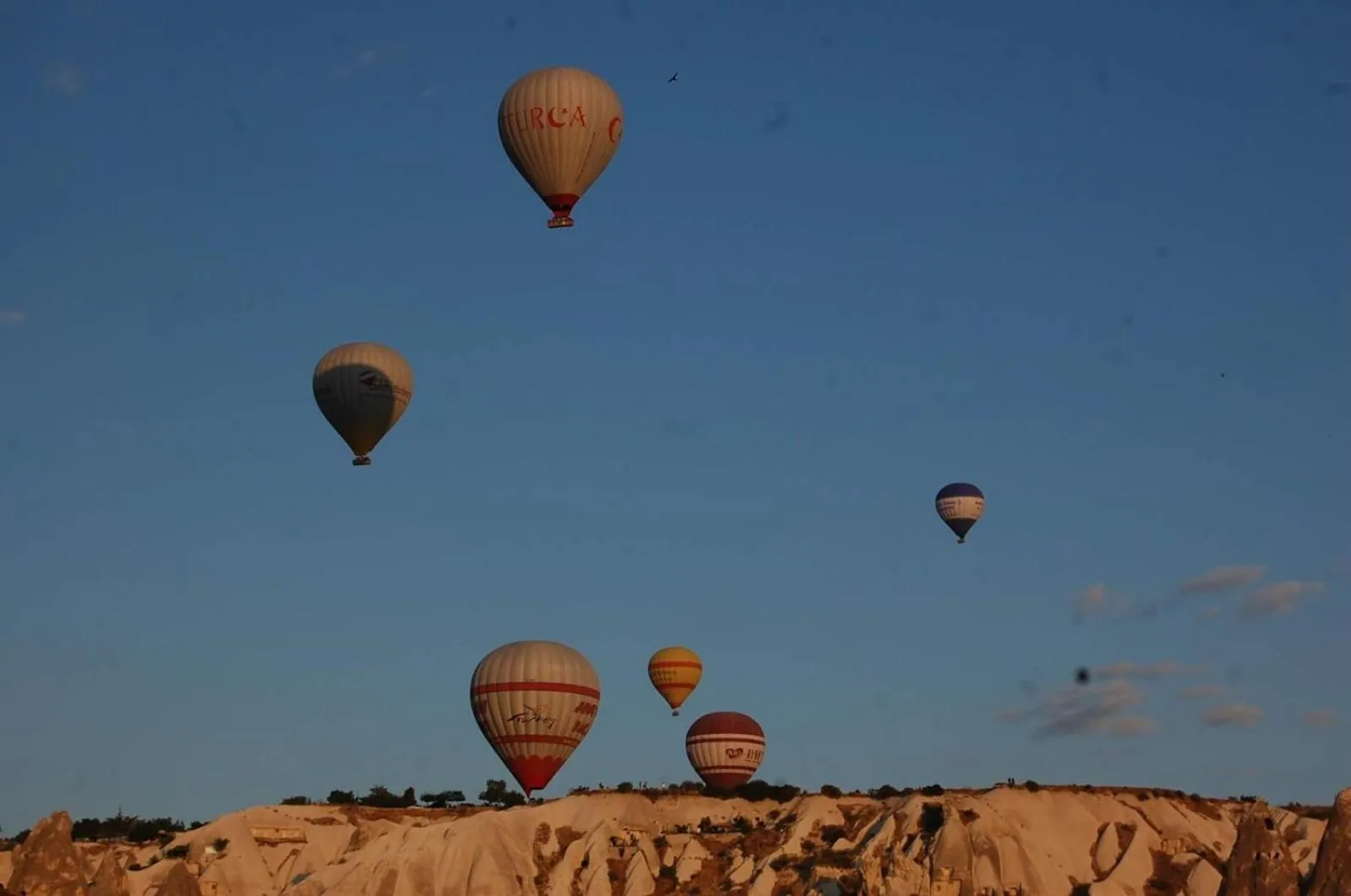 Activities in Ala Stone House