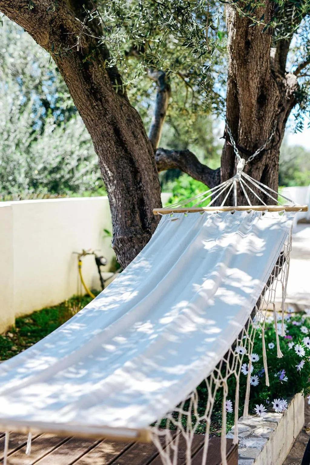 Garden in Oliva Holiday Homes