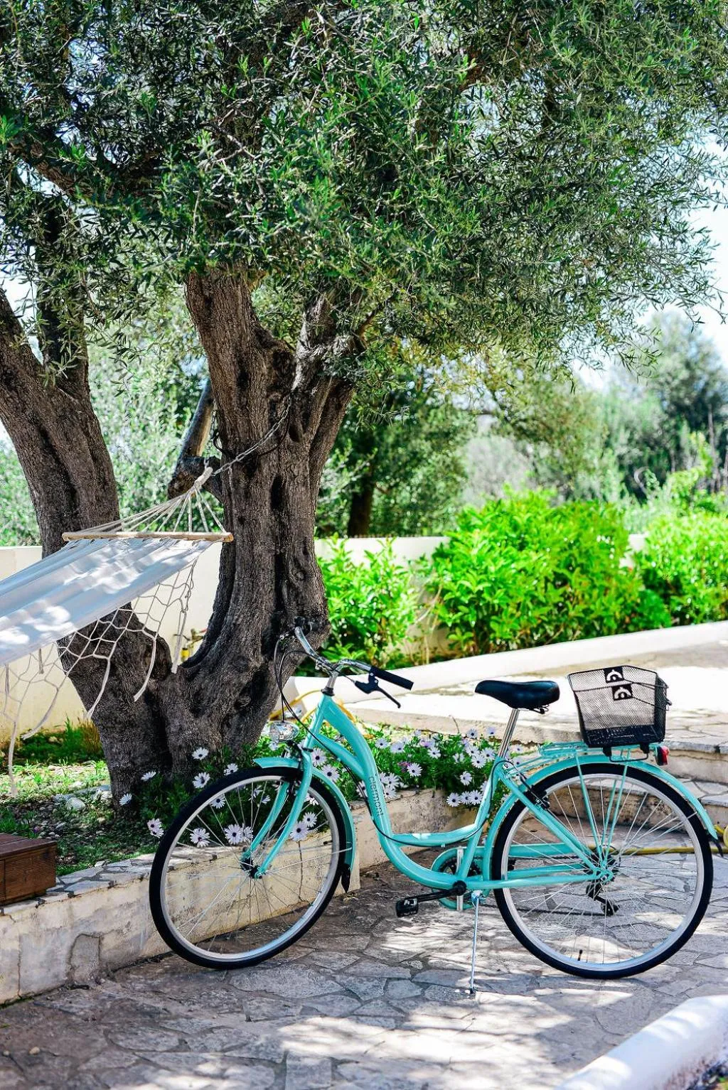 Garden in Oliva Holiday Homes
