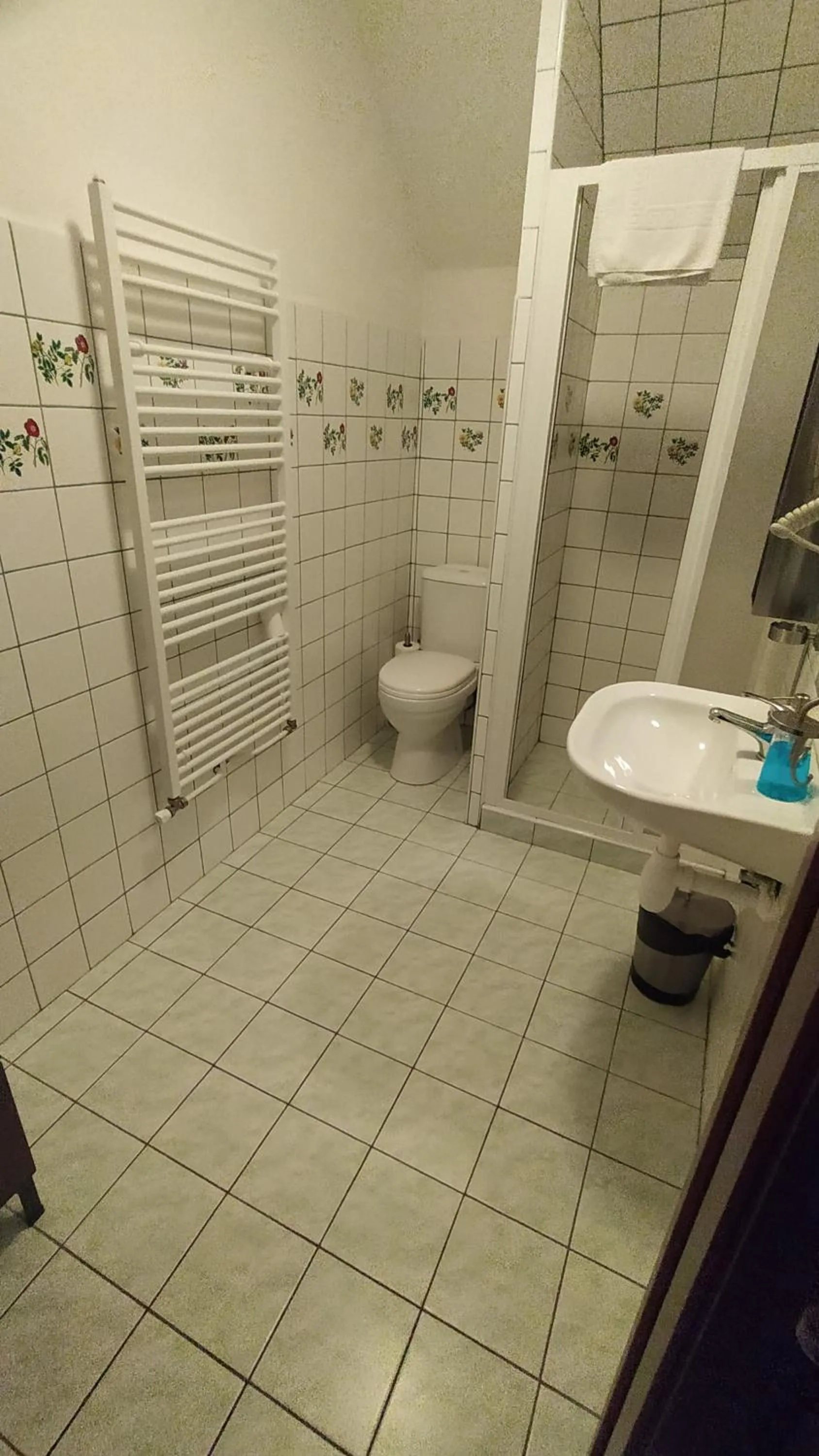 Bathroom in Hotel Hospodářský dvůr Bohuslavice