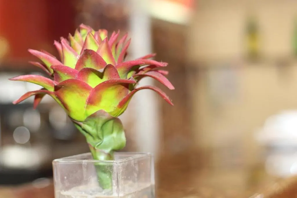 Al Farhan Apartment Al Hamra-Jeddah