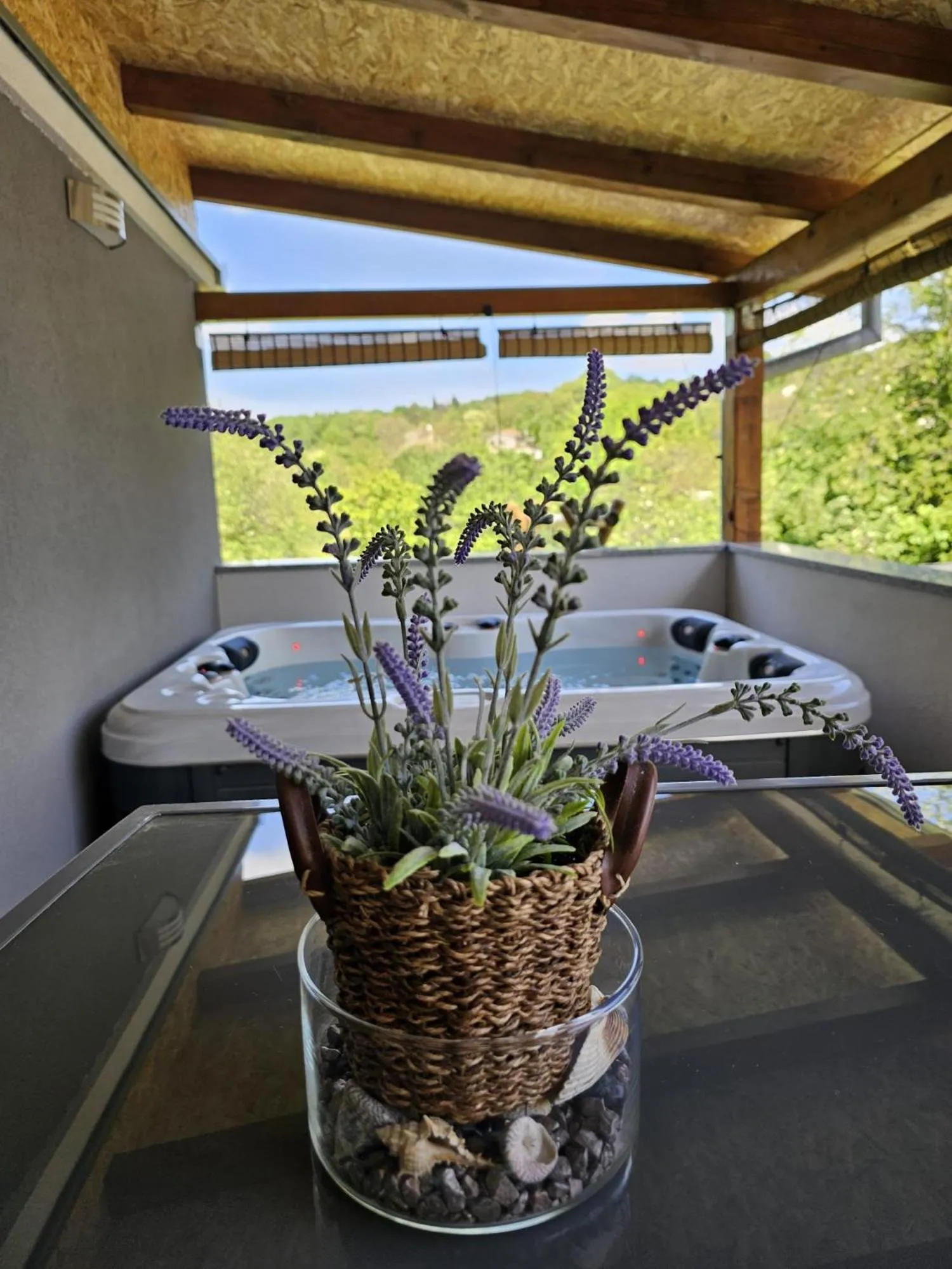 Balcony/Terrace in apartman Goga with pool and jacuzzi