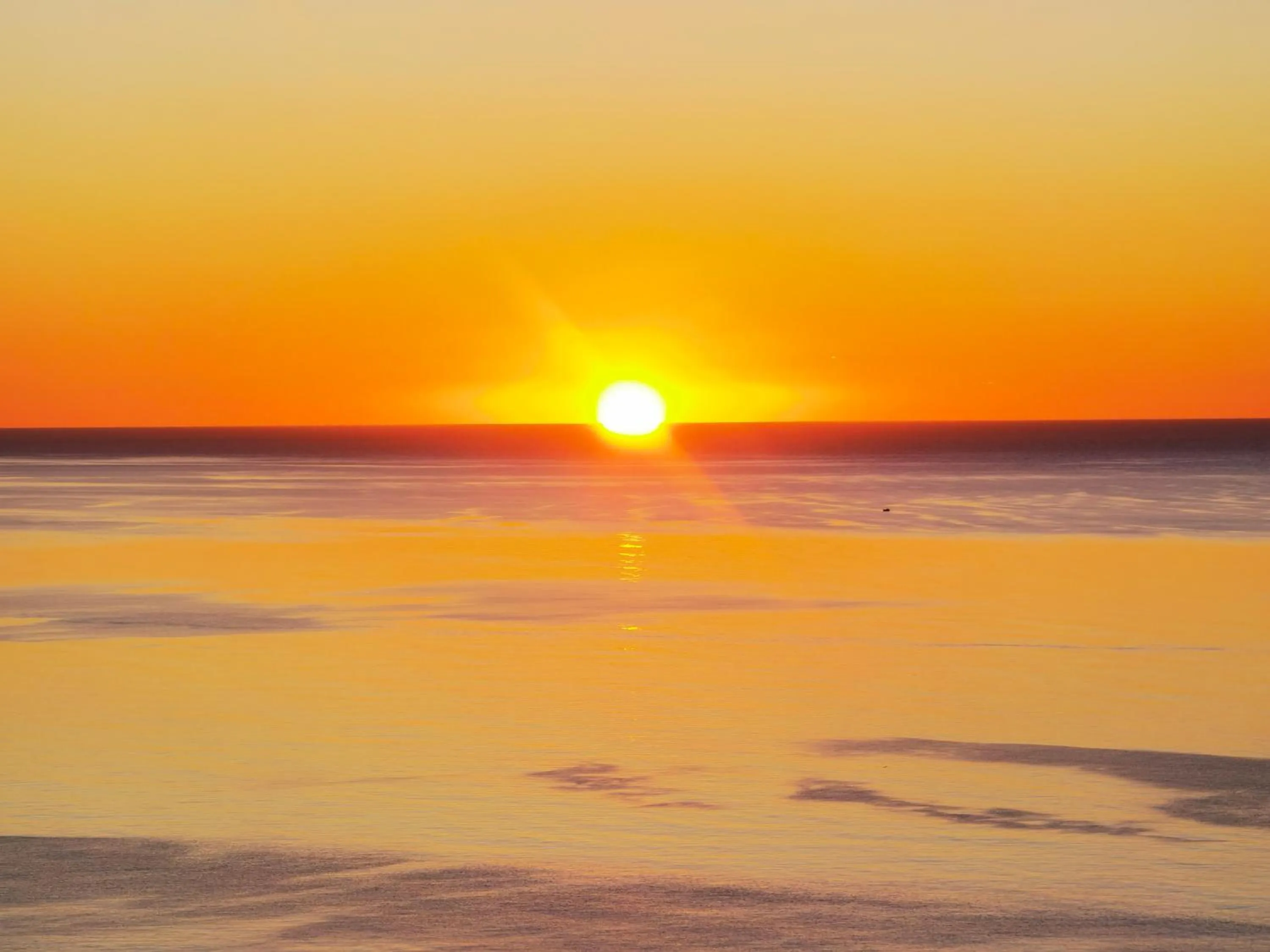 Natural landscape in La Corte degli Ulivi - Albergo Rurale