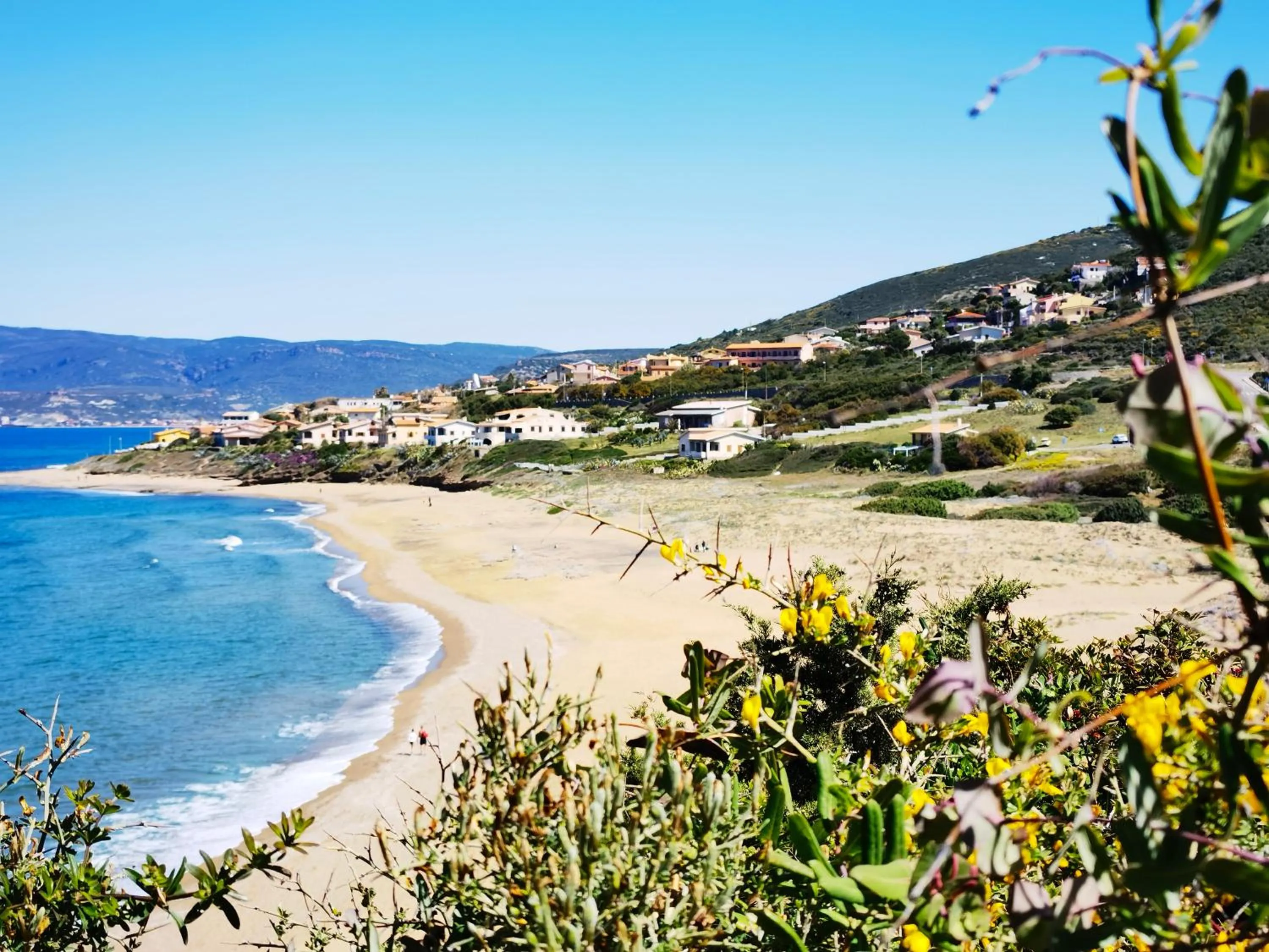 Natural landscape in La Corte degli Ulivi - Albergo Rurale