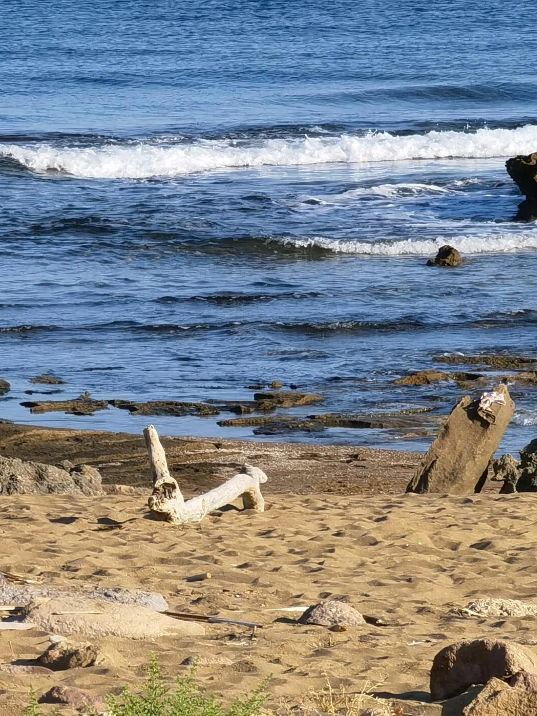 Natural landscape in La Corte degli Ulivi - Albergo Rurale
