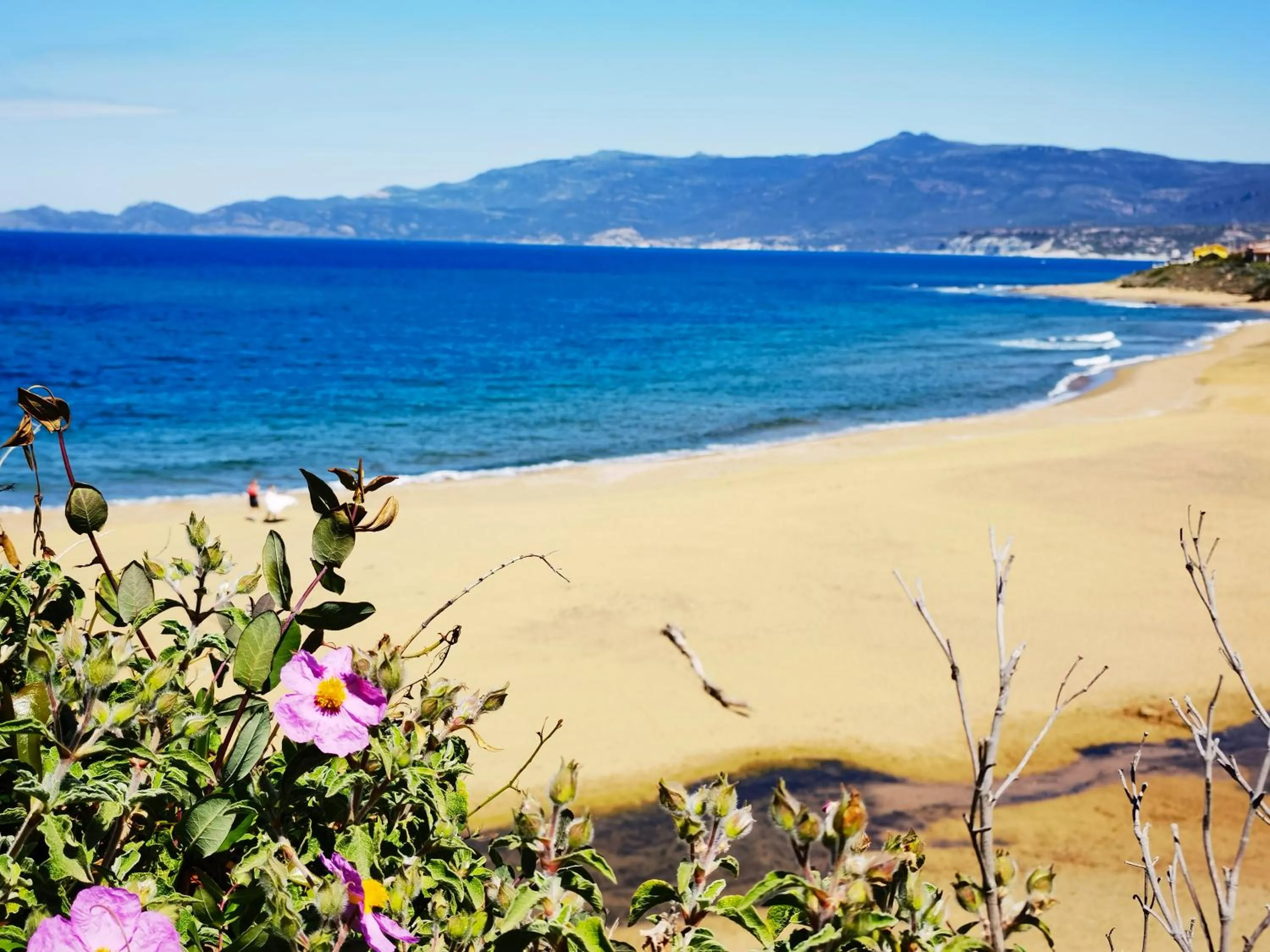 Beach in La Corte degli Ulivi - Albergo Rurale