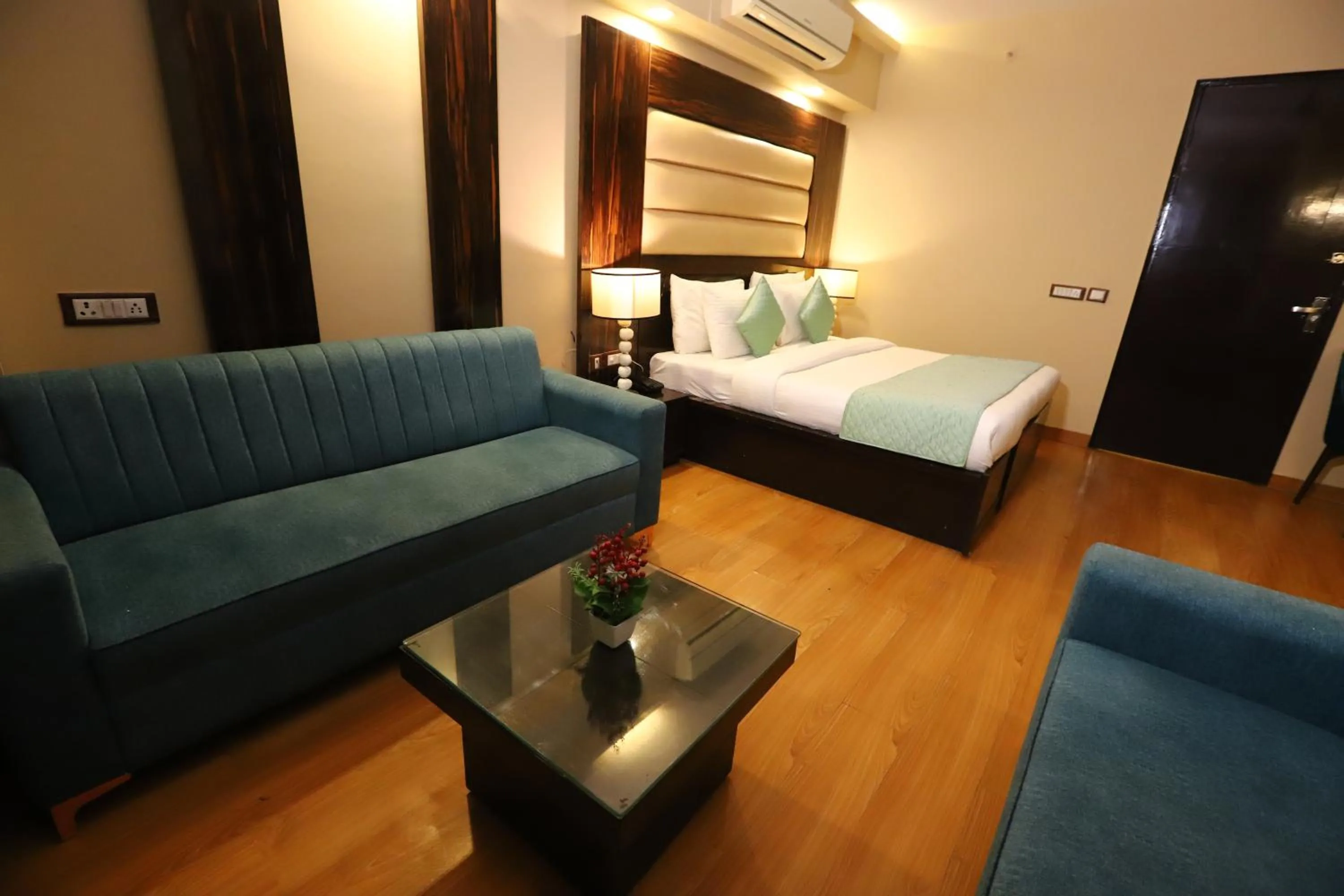 Photo of the whole room in The Palm Spring a Boutique Hotel Naraina New Delhi