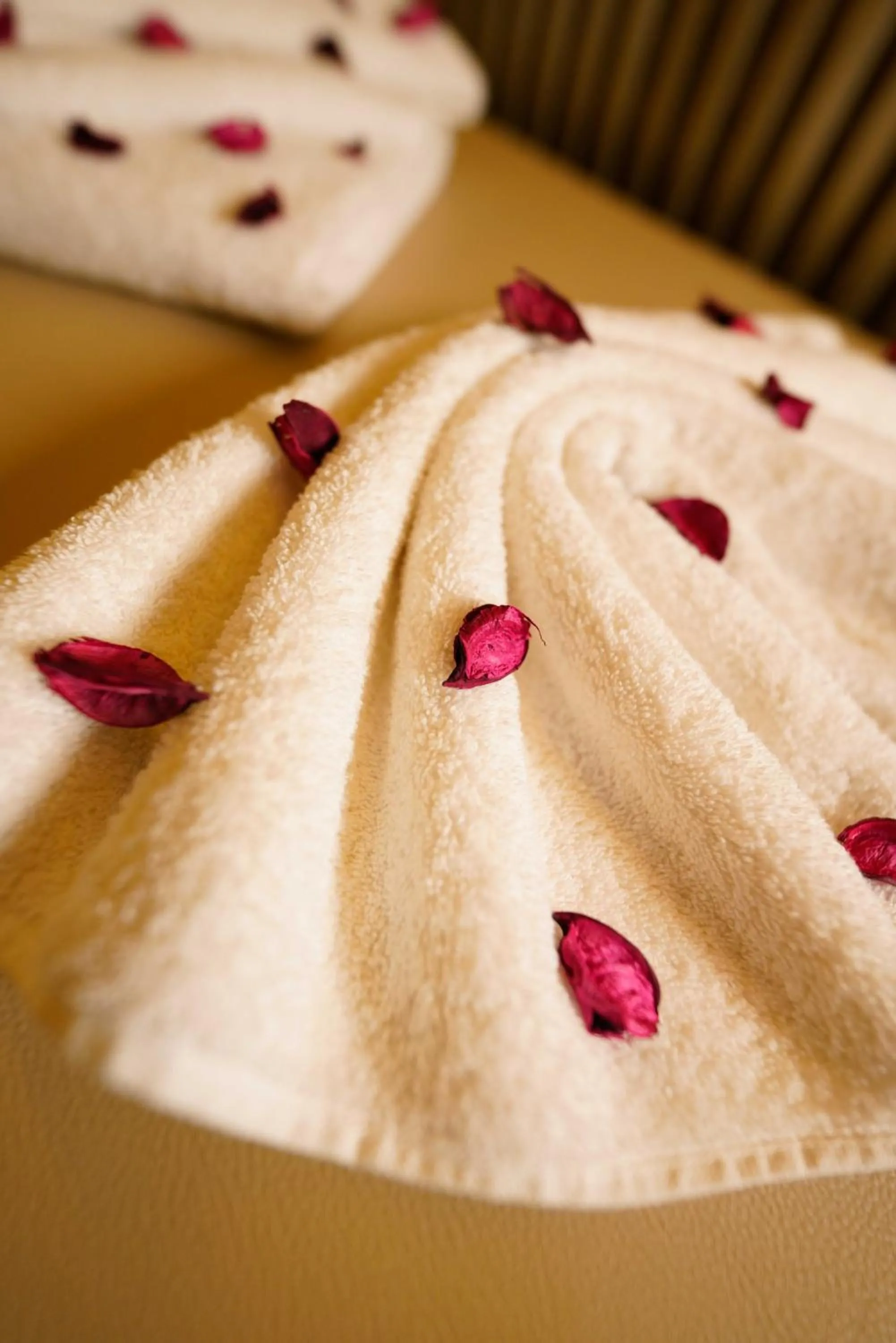 Sauna in Costera Hotel