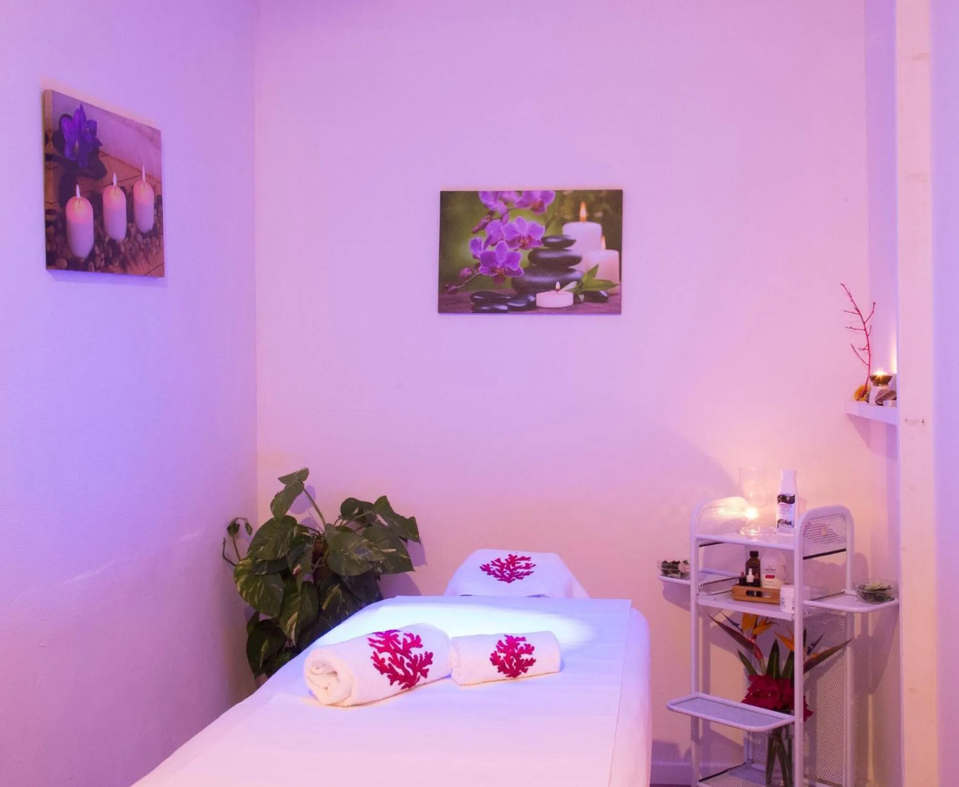 Spa and wellness centre/facilities in Hotel Palau