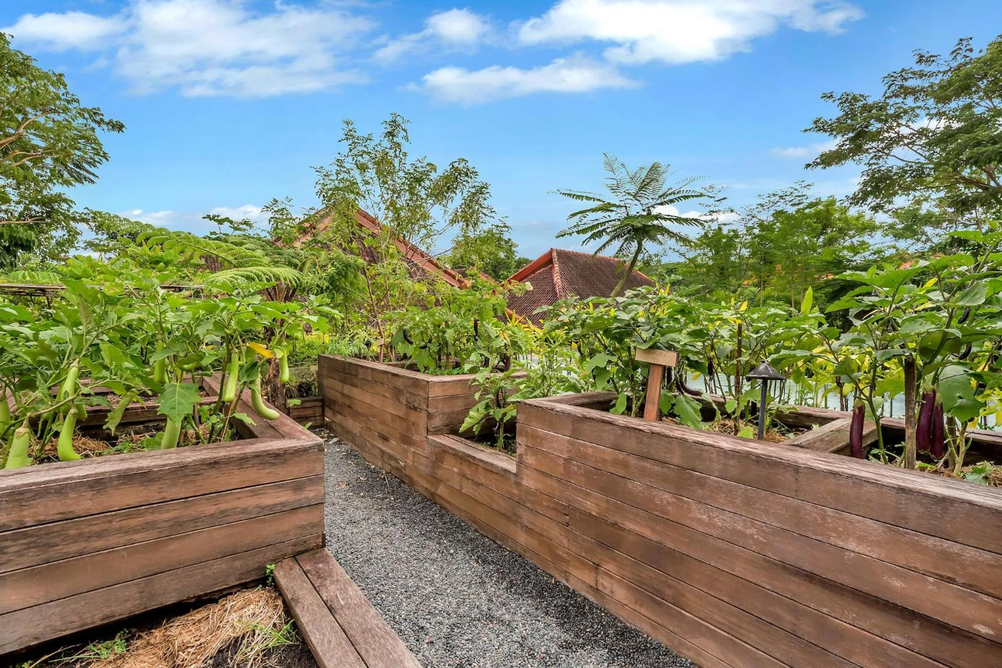 Garden view in Bisma Eight Villas