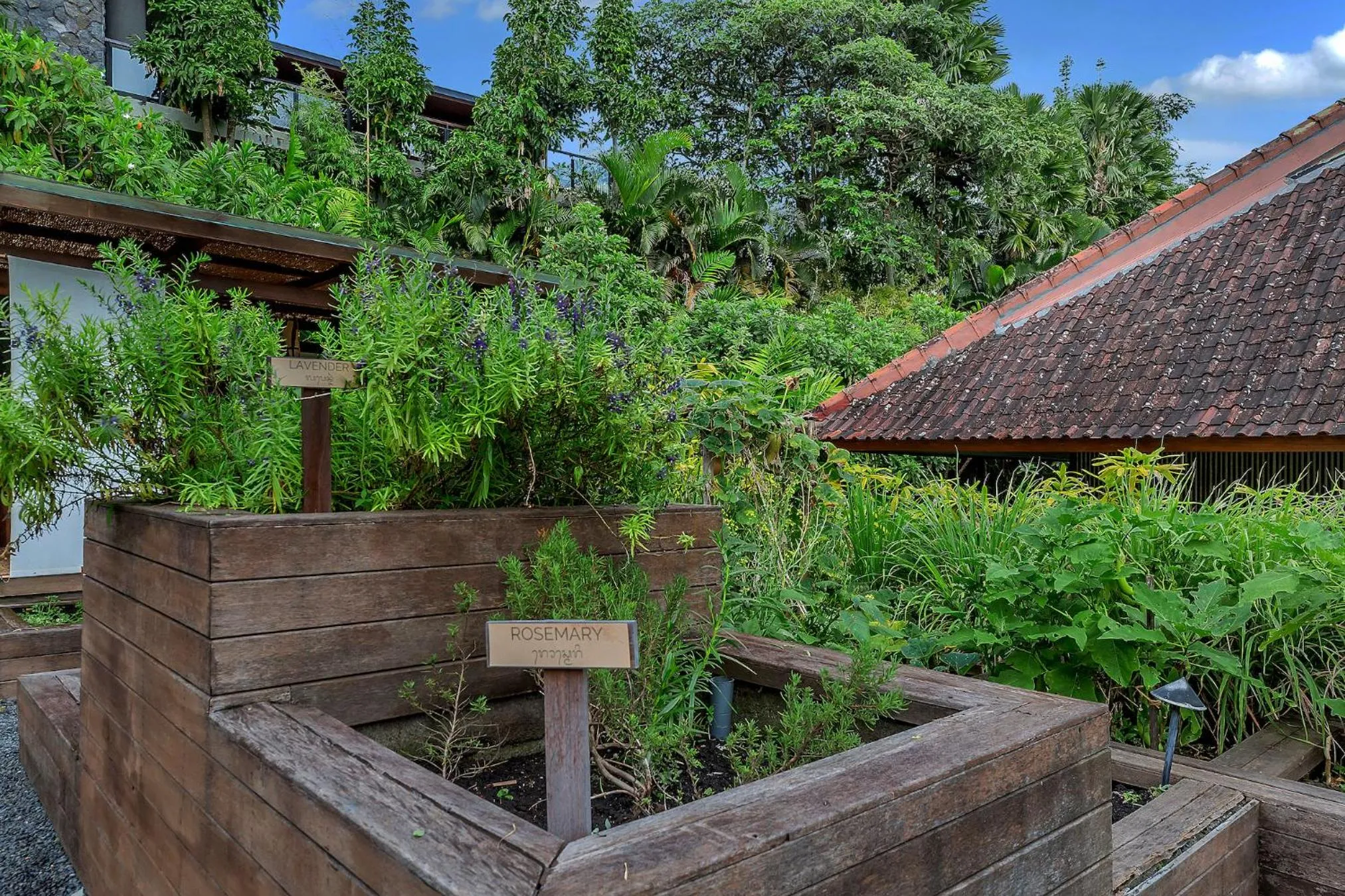 Garden in Bisma Eight Villas