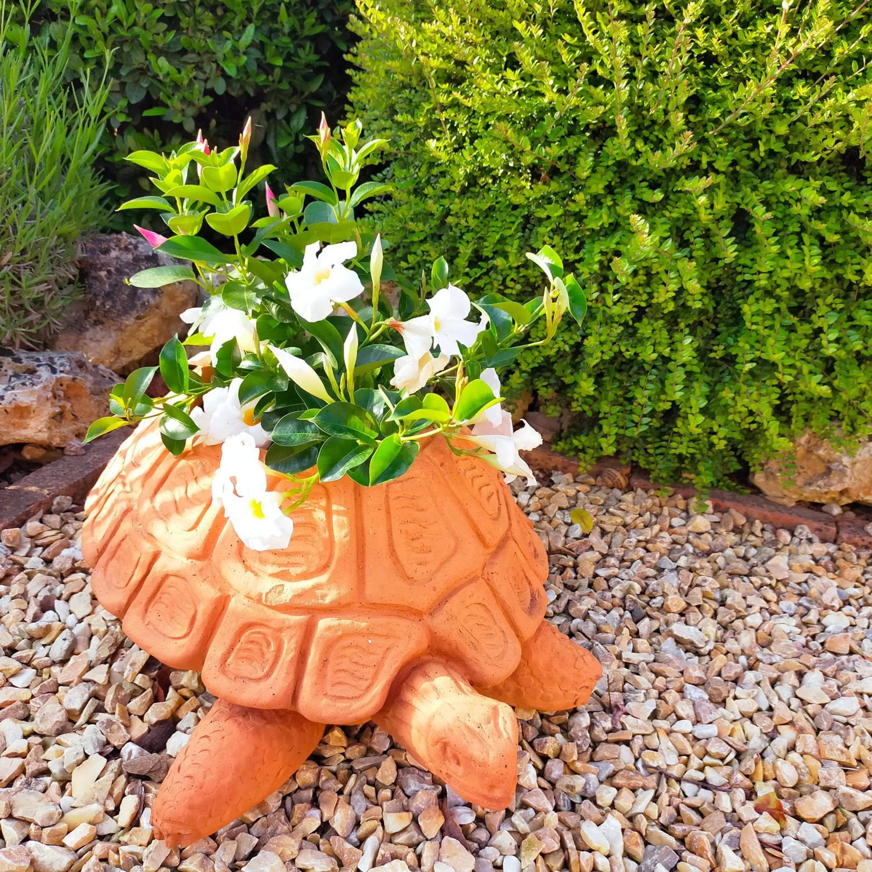 Spring in Molino Di Foci